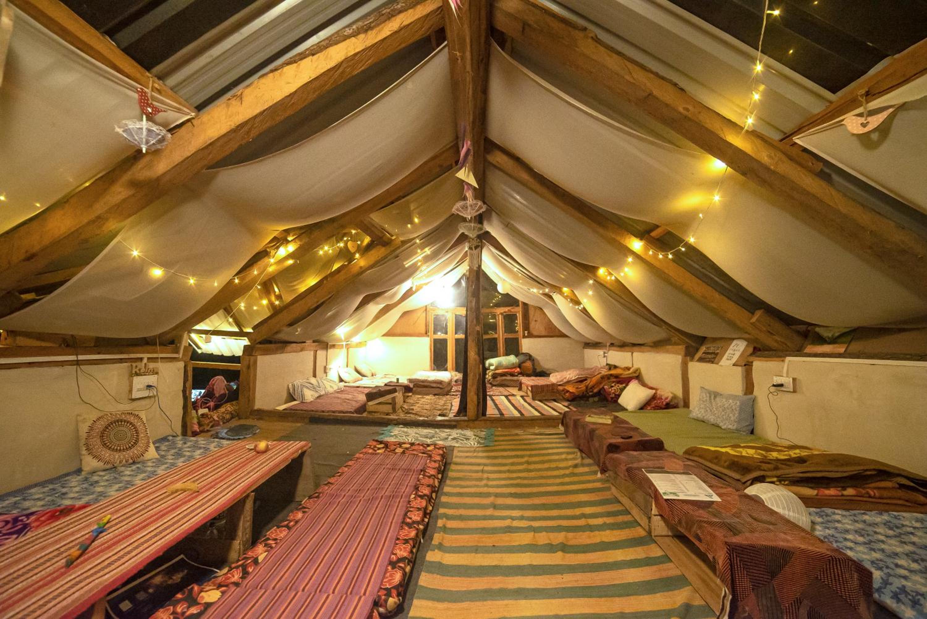 Single Bed in Mixed Dormitory Room photo 1