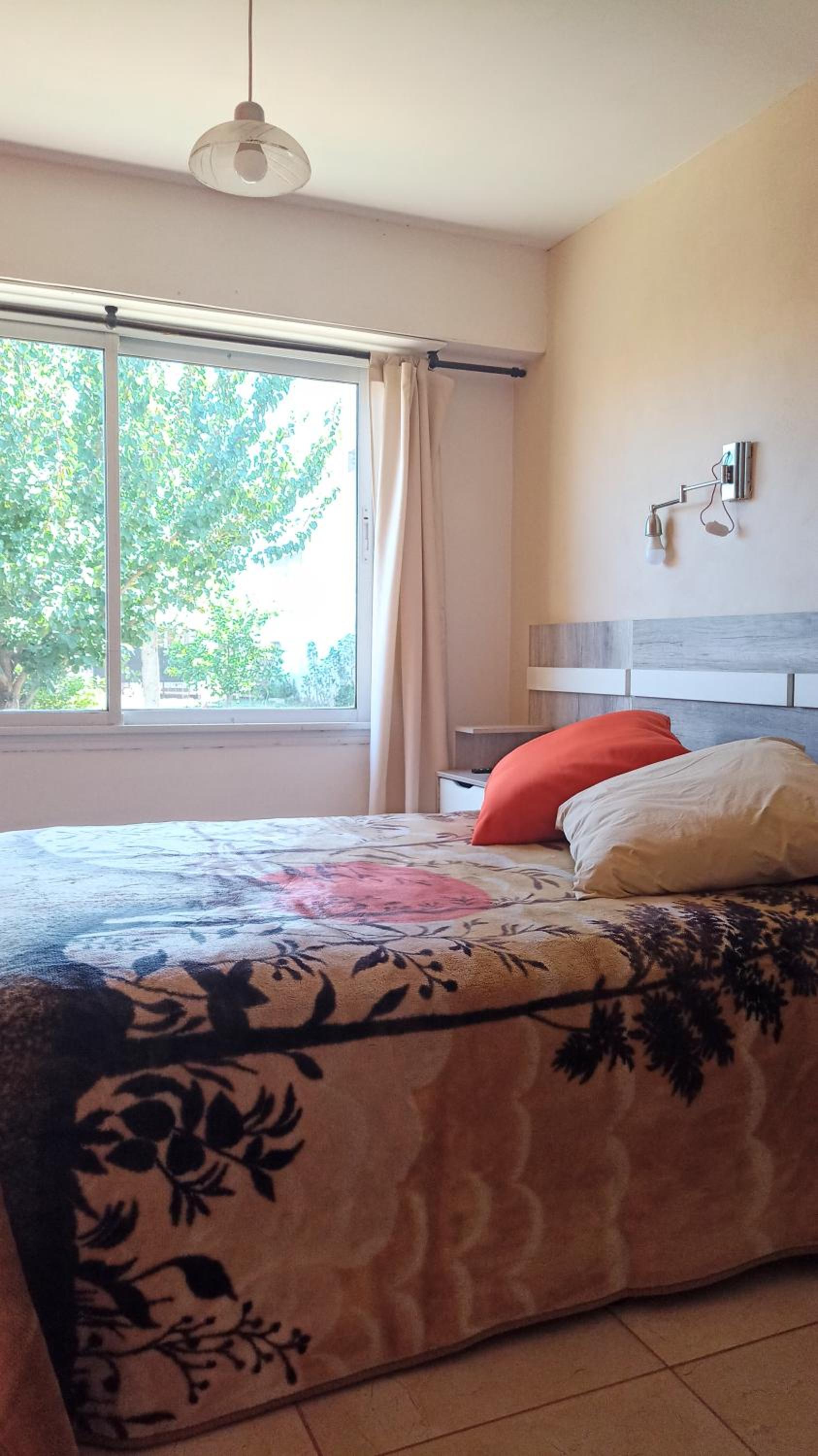 One-Bedroom House photo 3