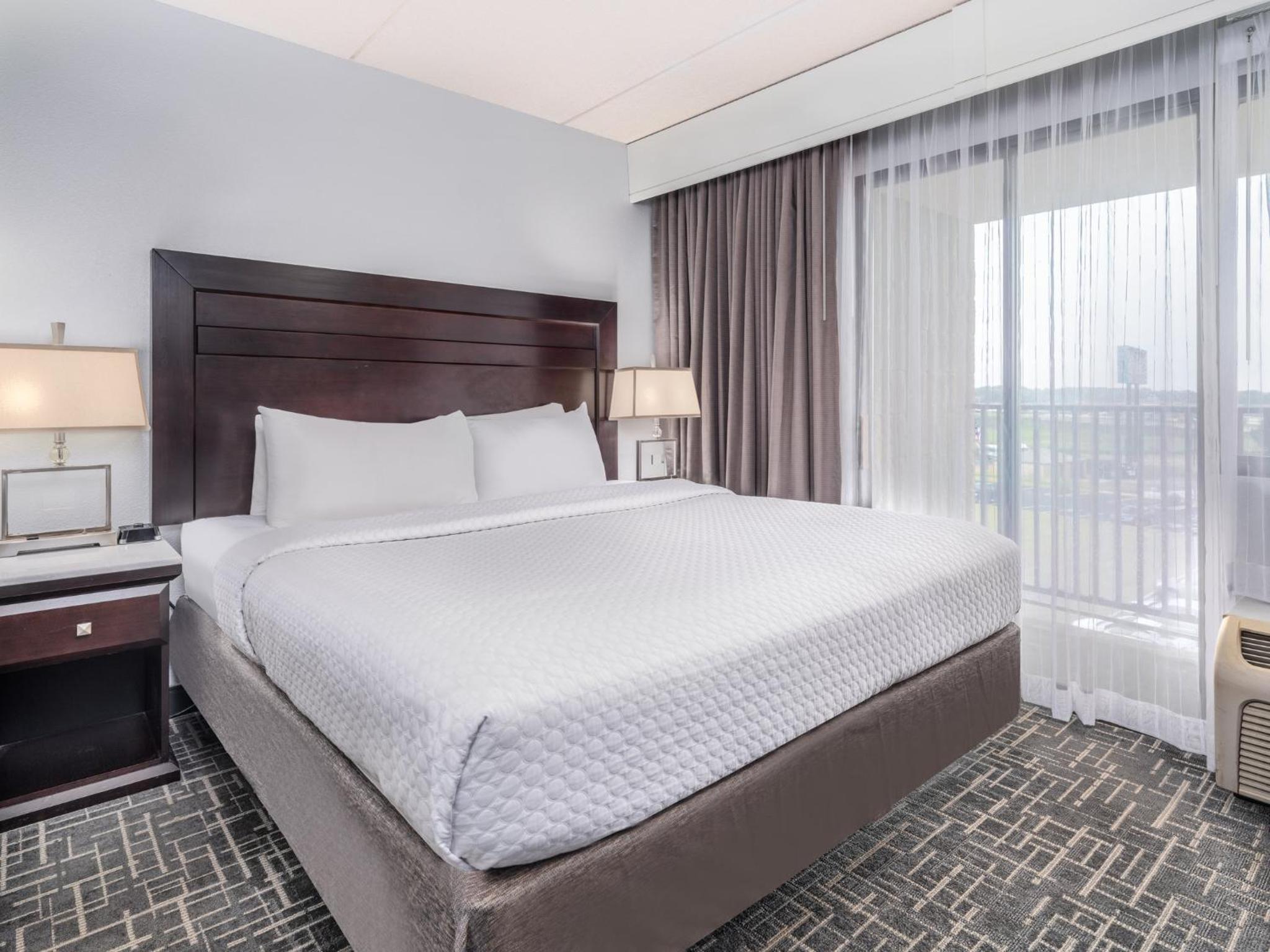 One-Bedroom Suite with Sofa Bed - Photo 6