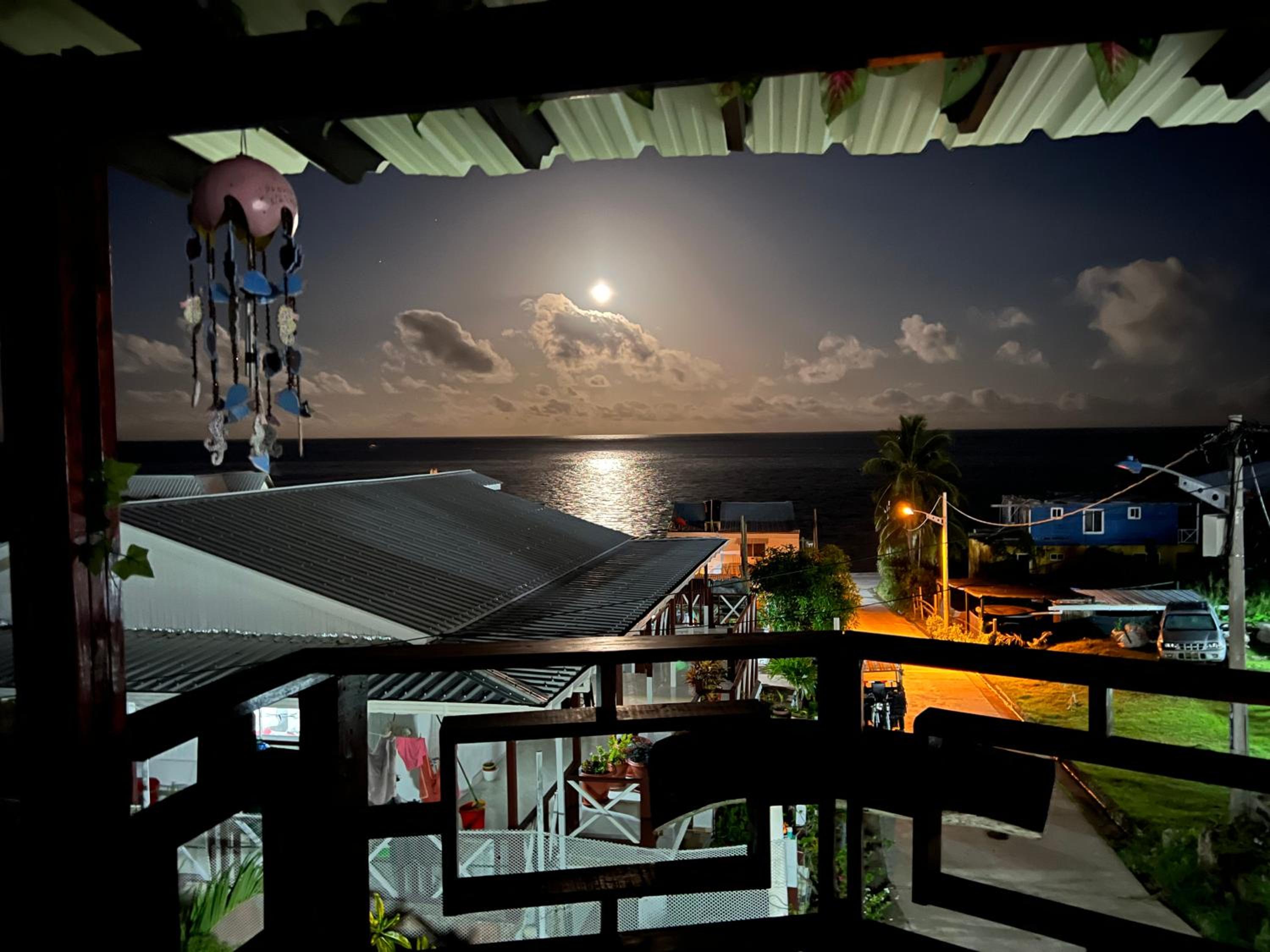 Apartment with Sea View photo 3