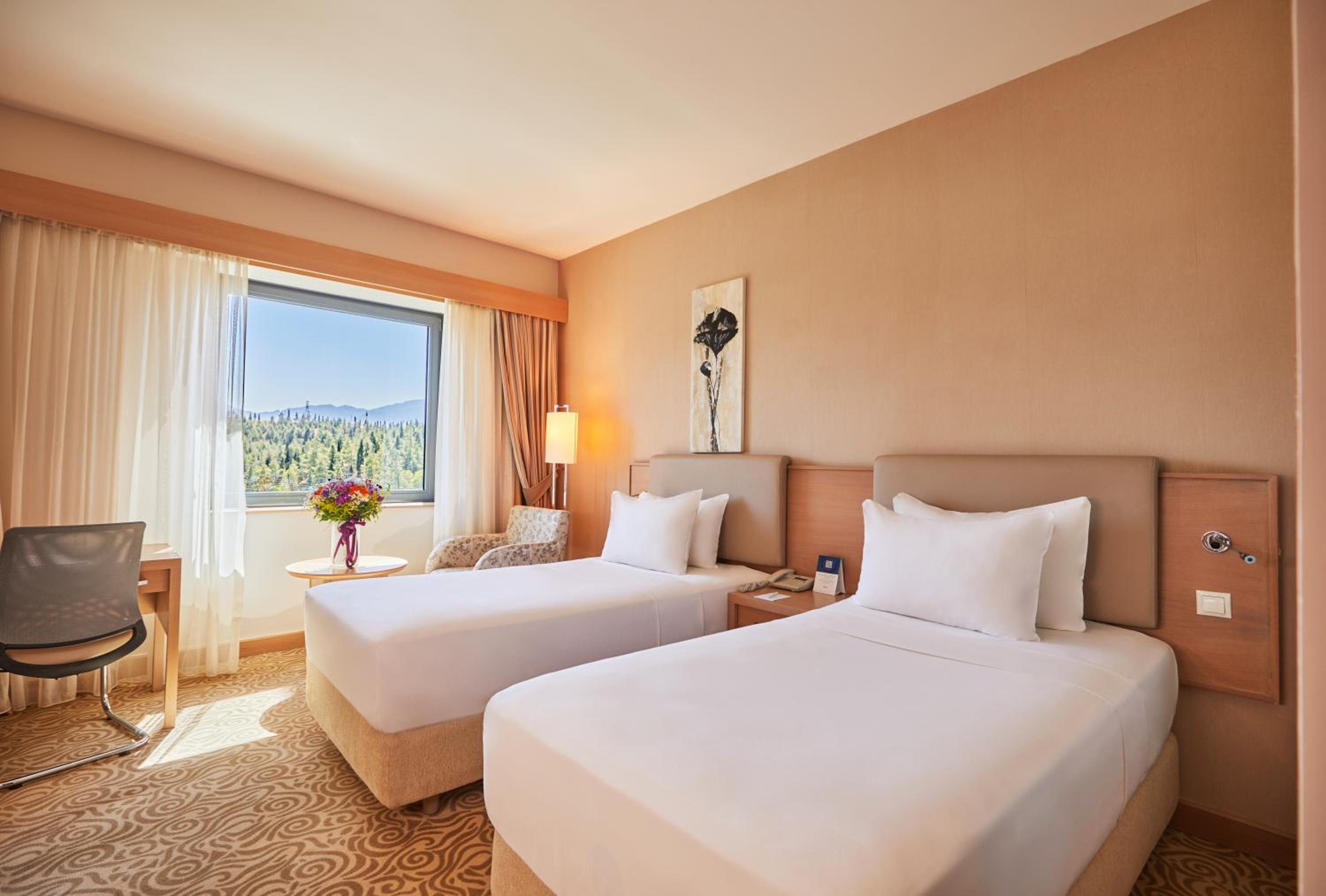 Superior Twin Room - Photo 1