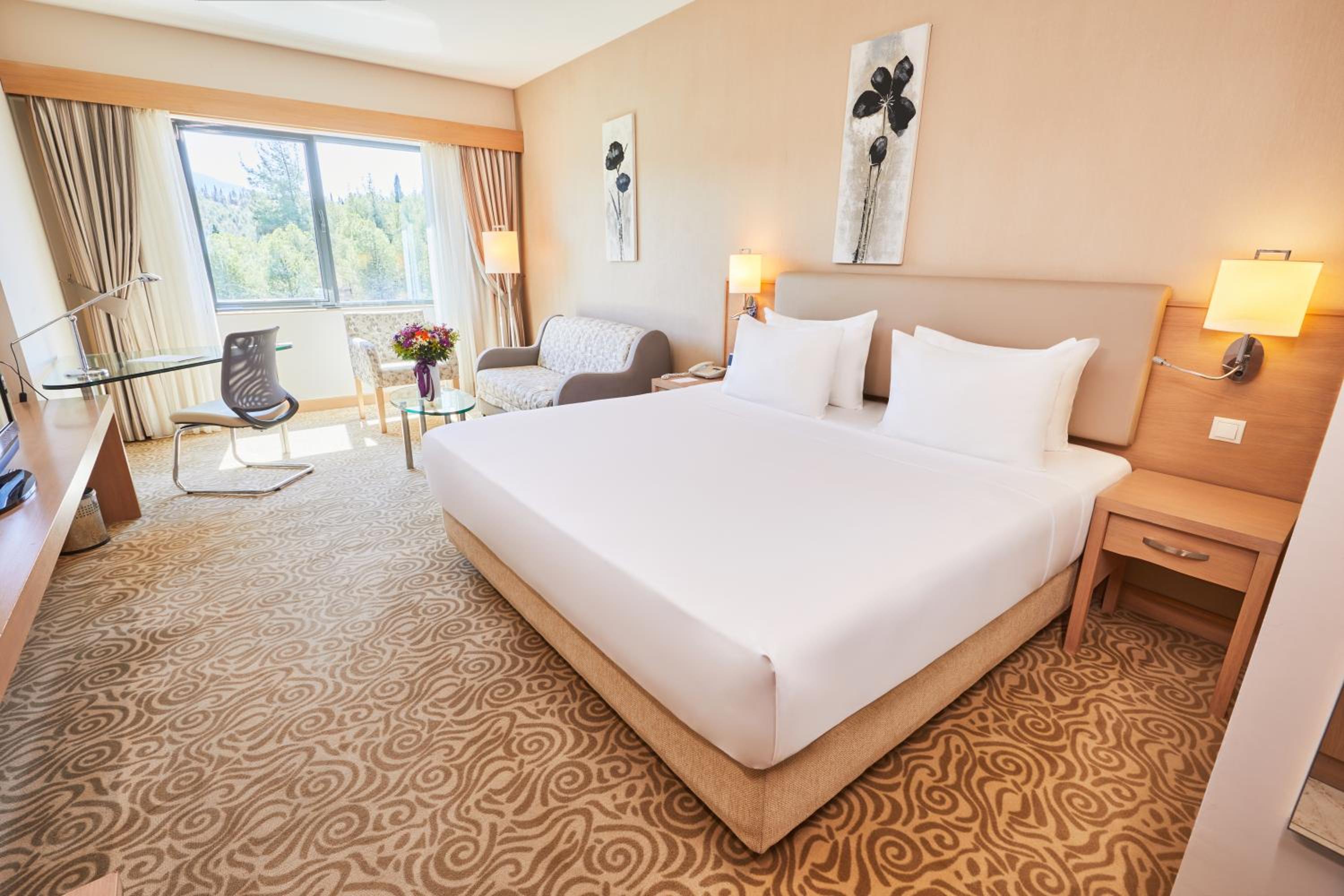 Deluxe Room - Photo 1