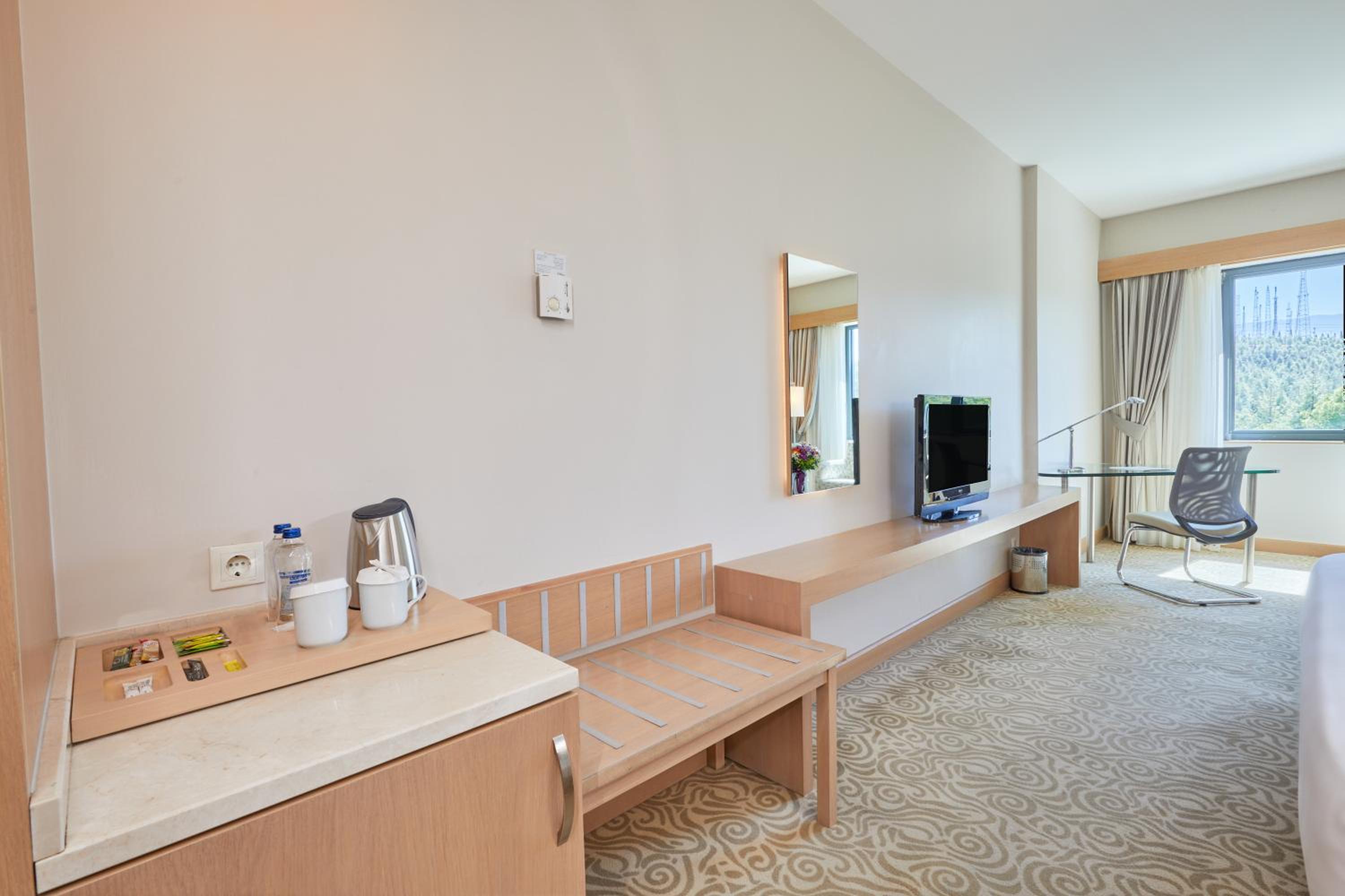 Deluxe Room - Photo 9