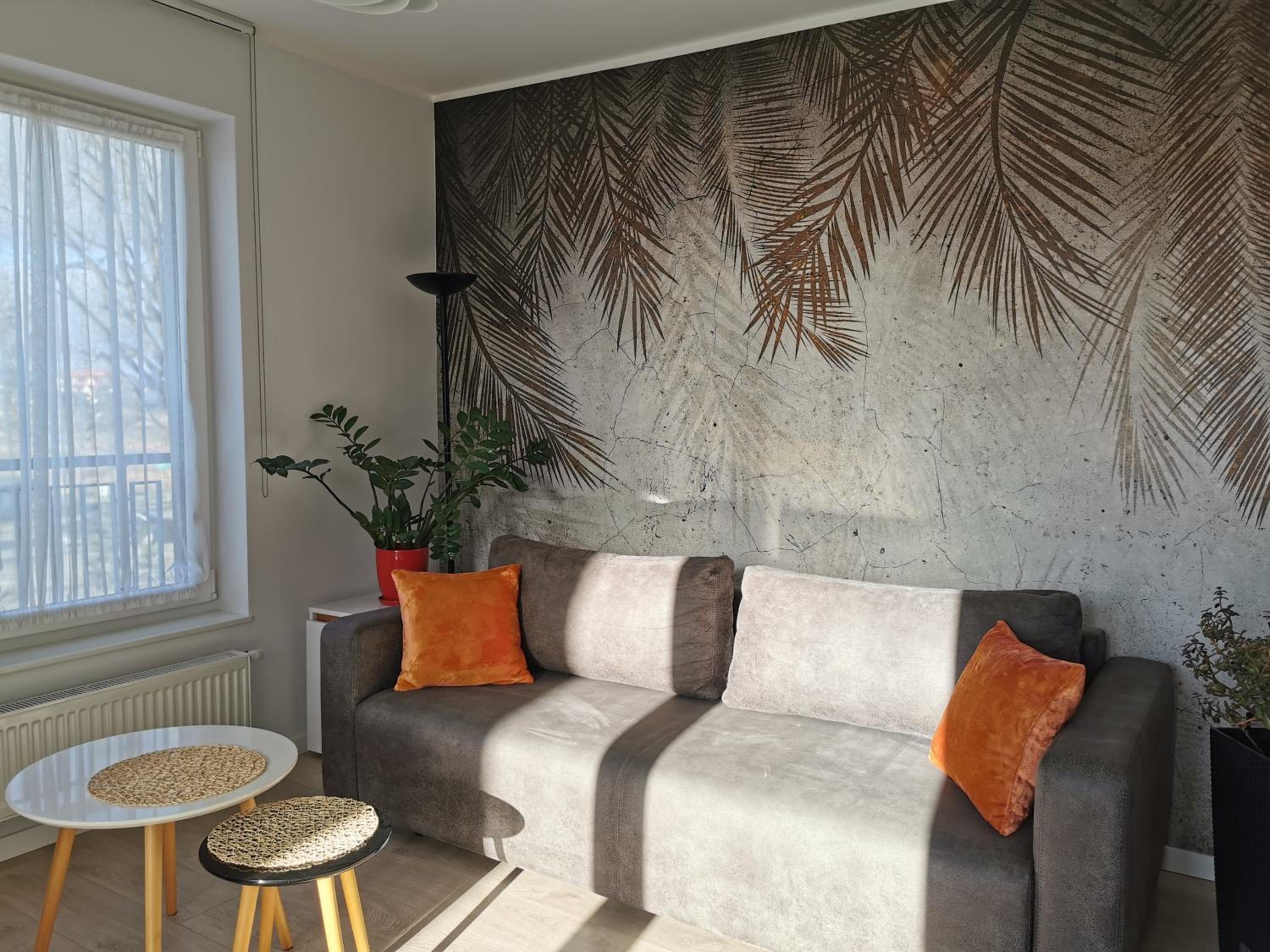 Apartment with Balcony photo 3
