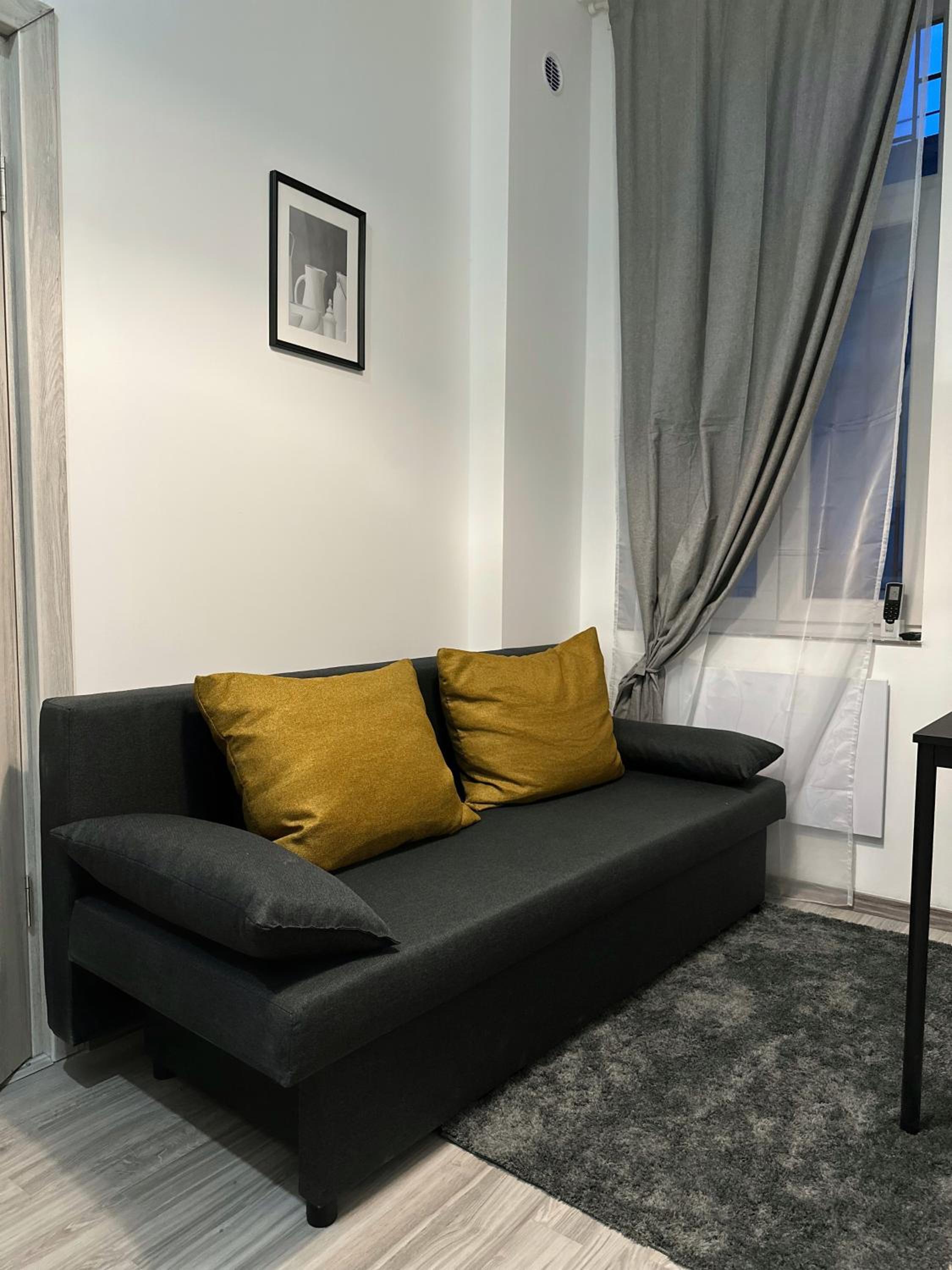 Standard Apartment
