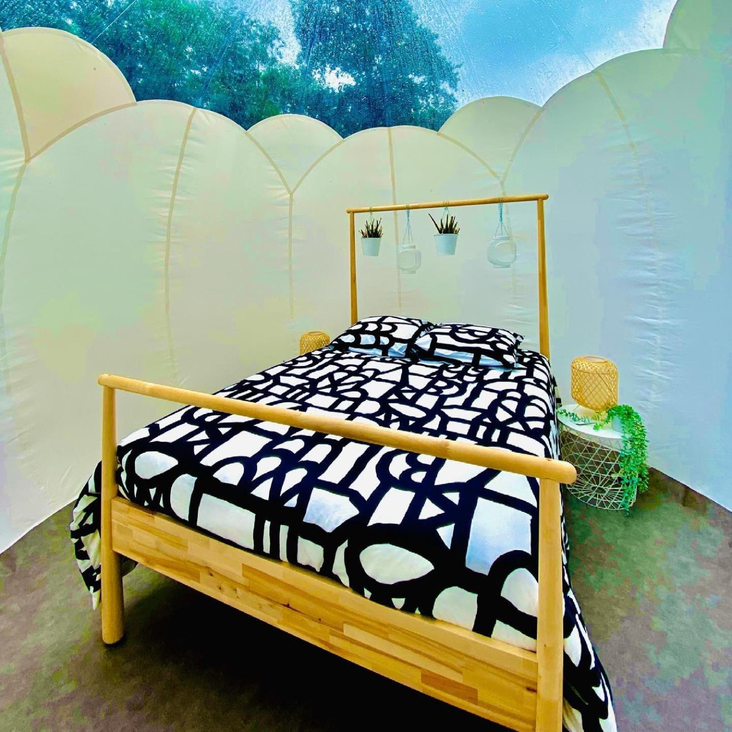 Deluxe Suite with Spa Bath photo 1