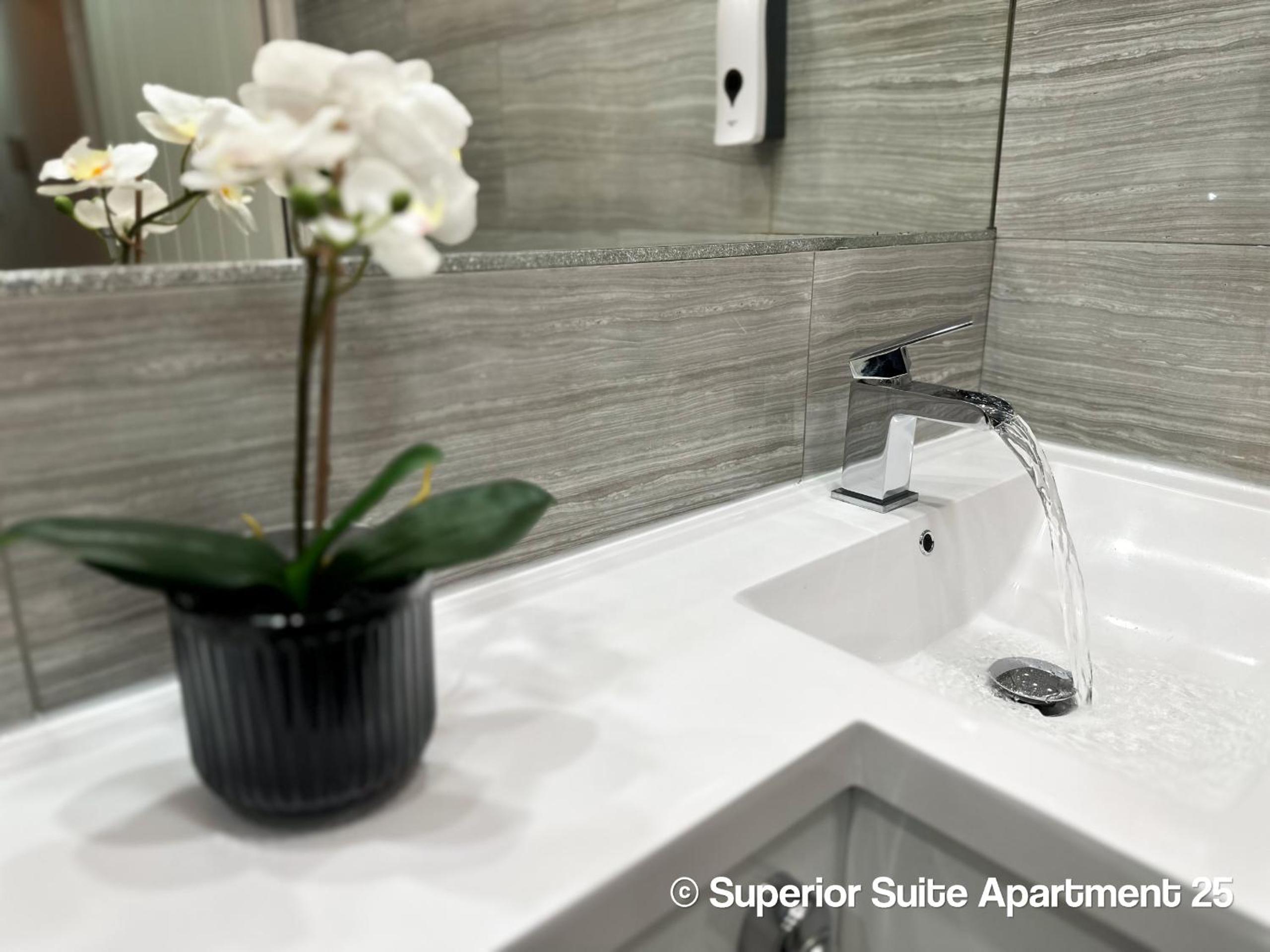 Superior Suite - Photo 23
