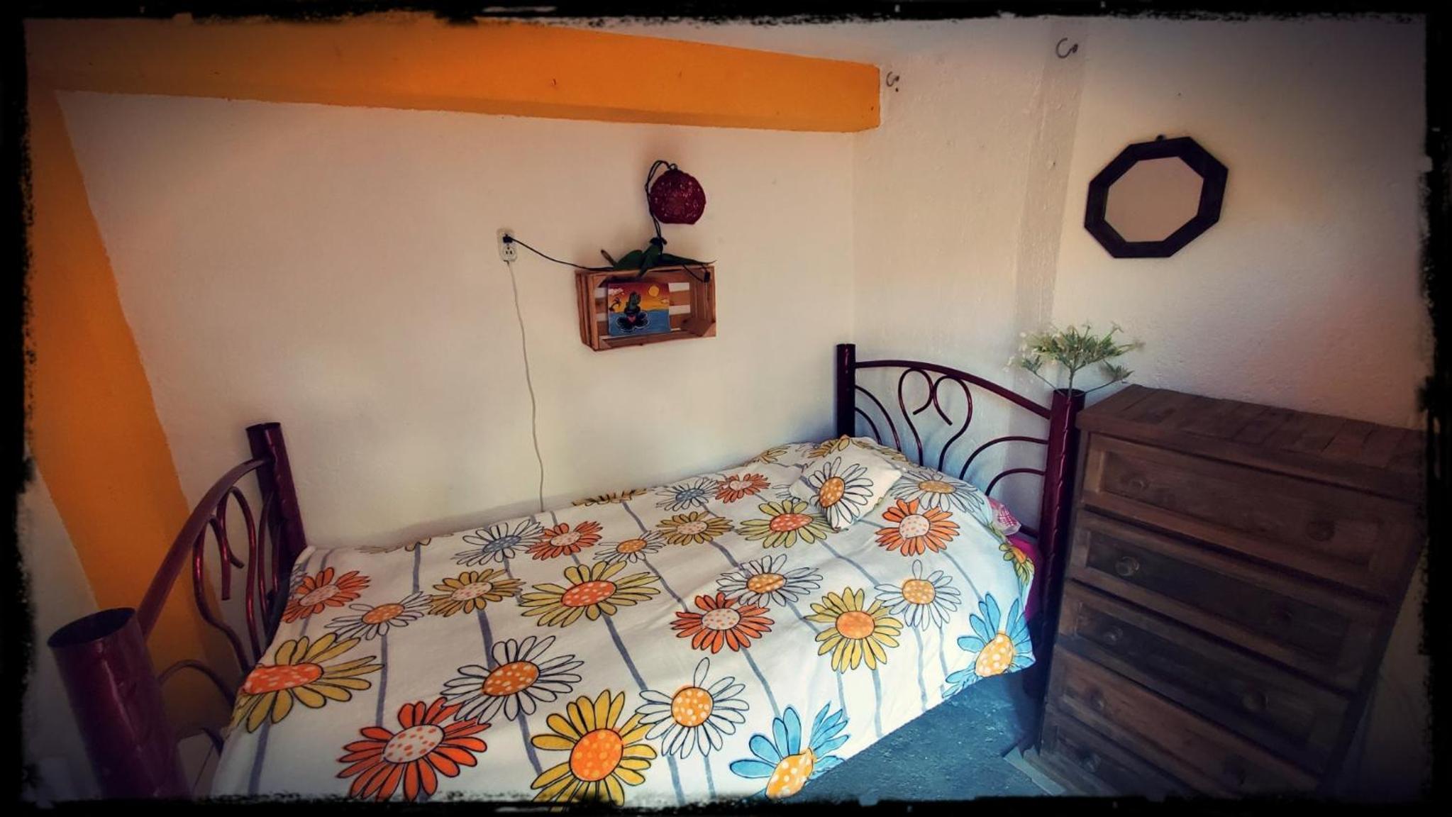 Single Room with Mountain View photo 1