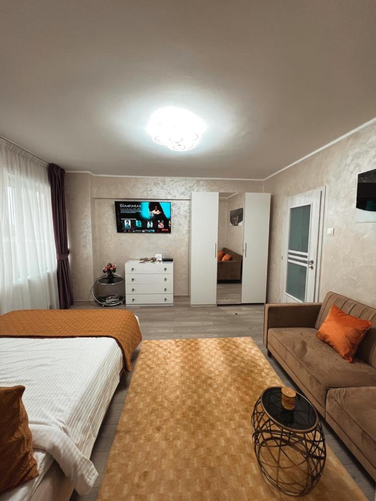 One-Bedroom Apartment - Photo 4