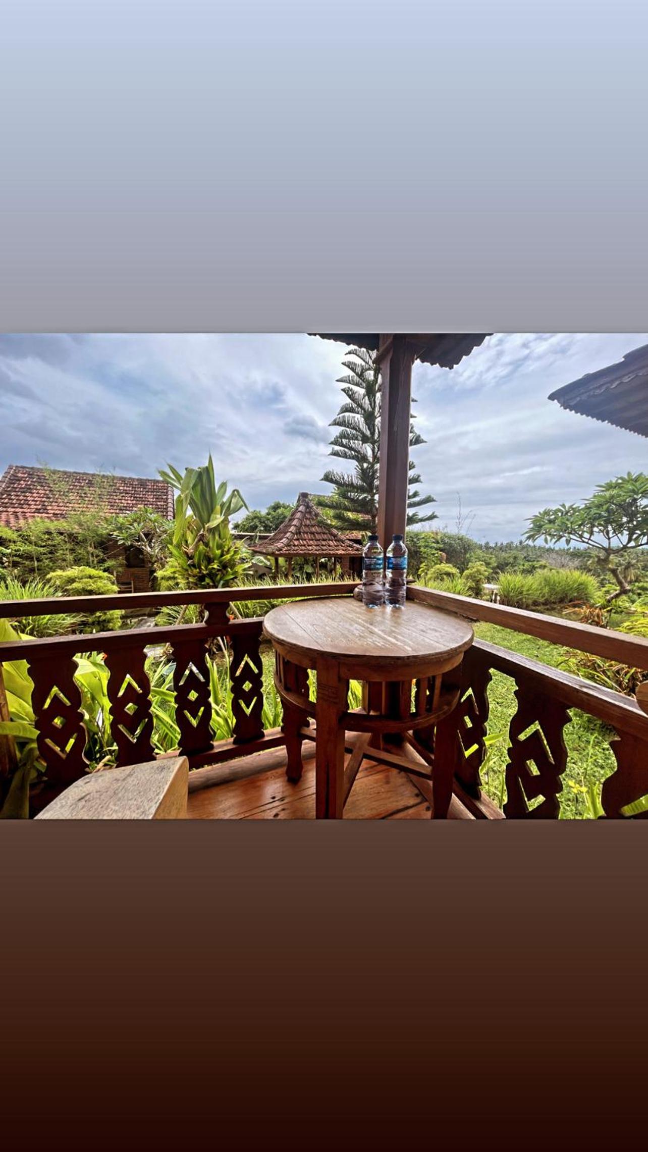 Deluxe Double Room with Balcony - Photo 19