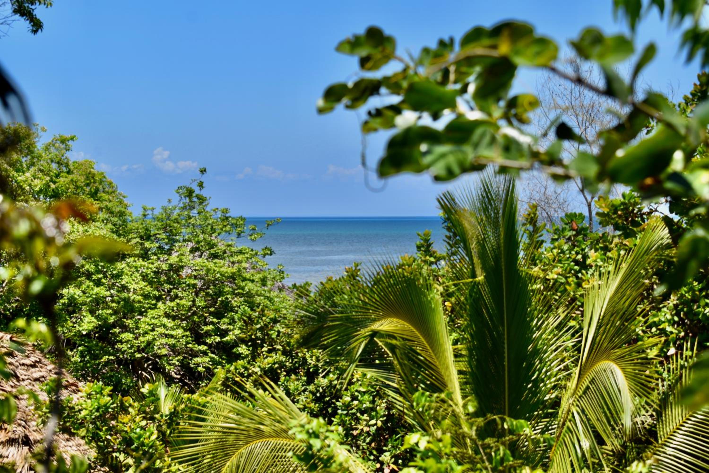 Bungalow with Sea View - Photo 3