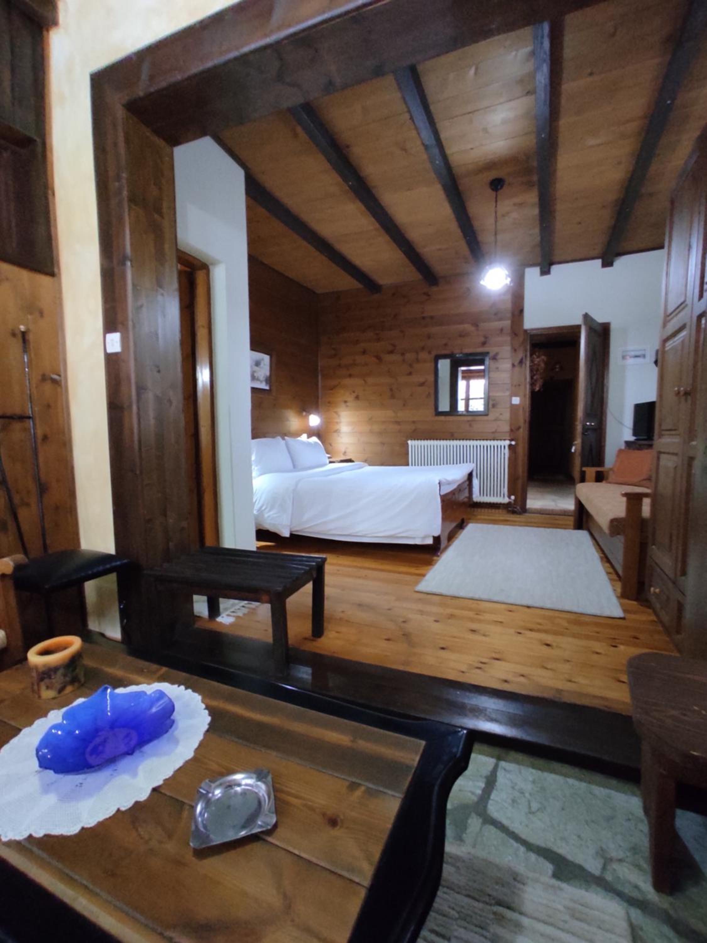 Superior Studio with Fireplace  - Photo 19