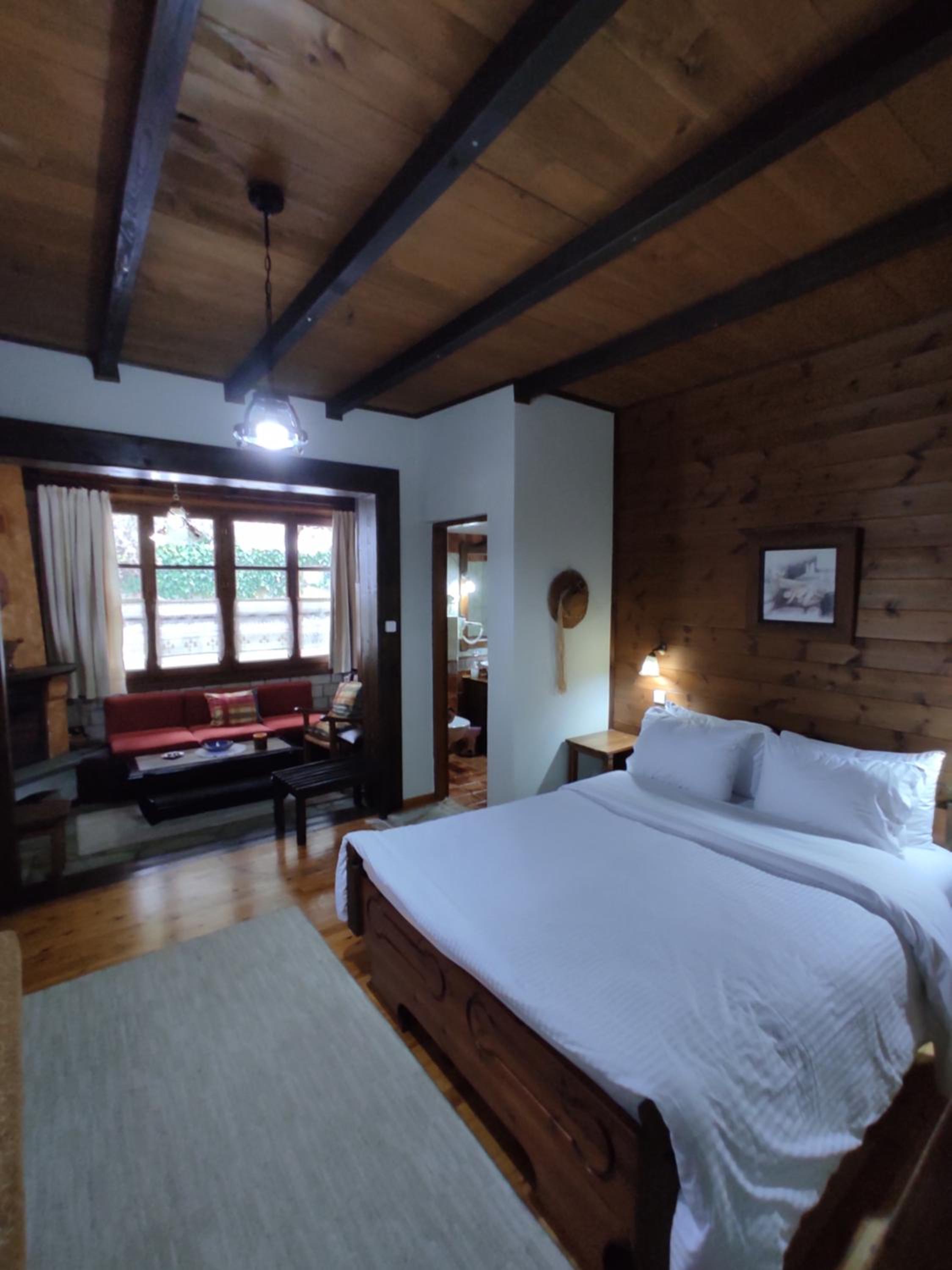 Superior Studio with Fireplace  - Photo 11