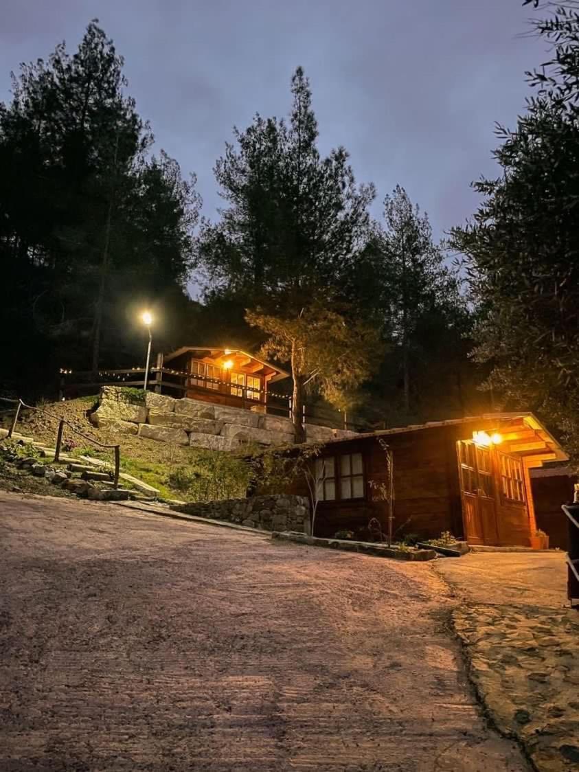 Chalet - Photo 12