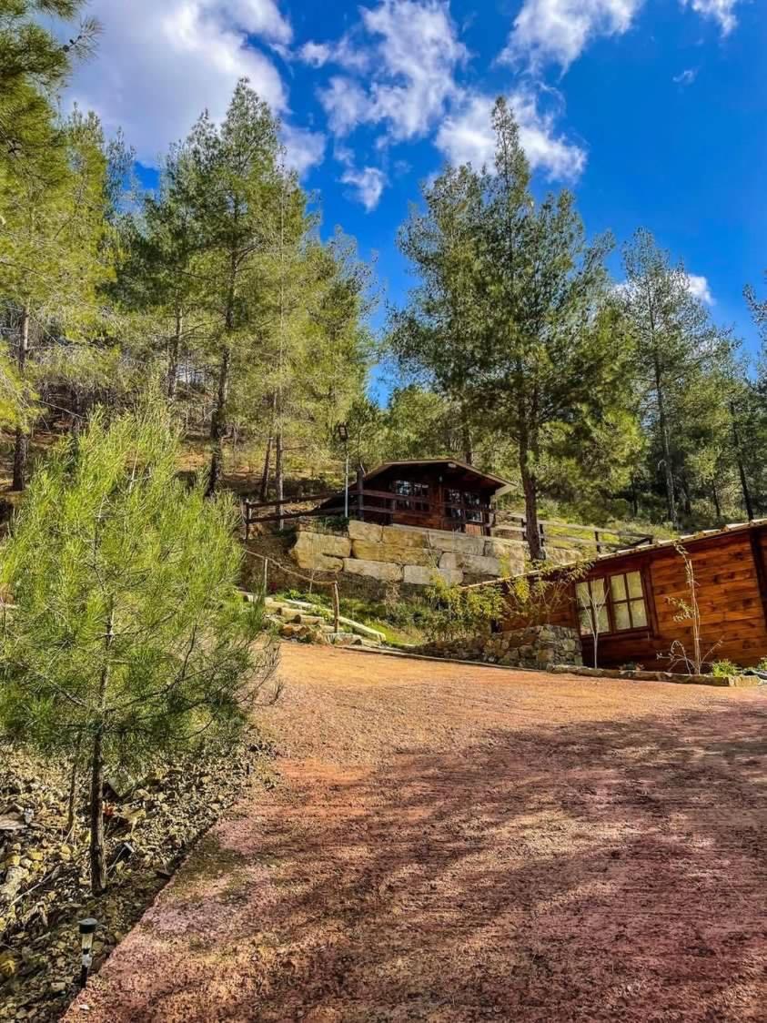 Chalet - Photo 8