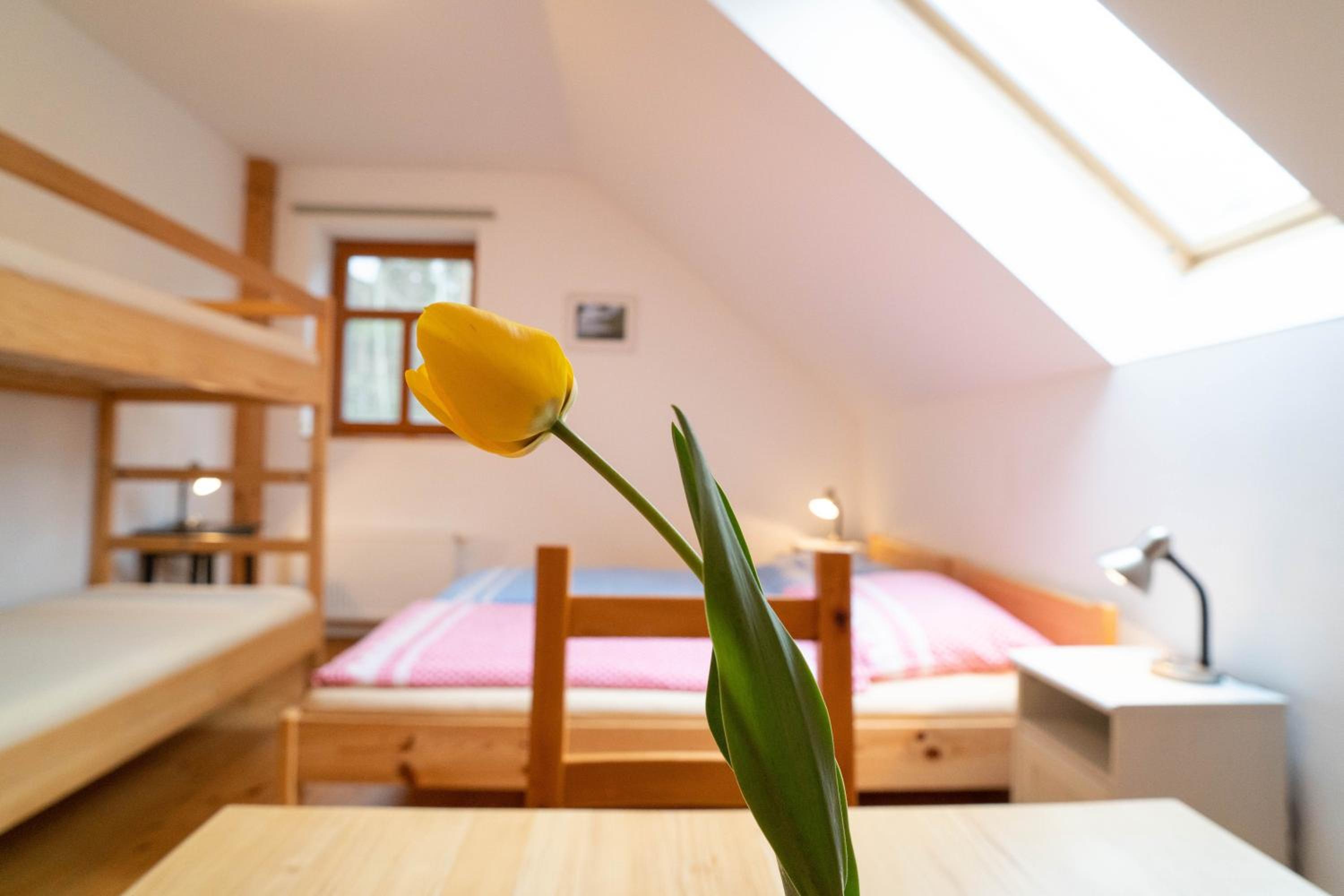 Quadruple Room with Private Bathroom - Photo 1
