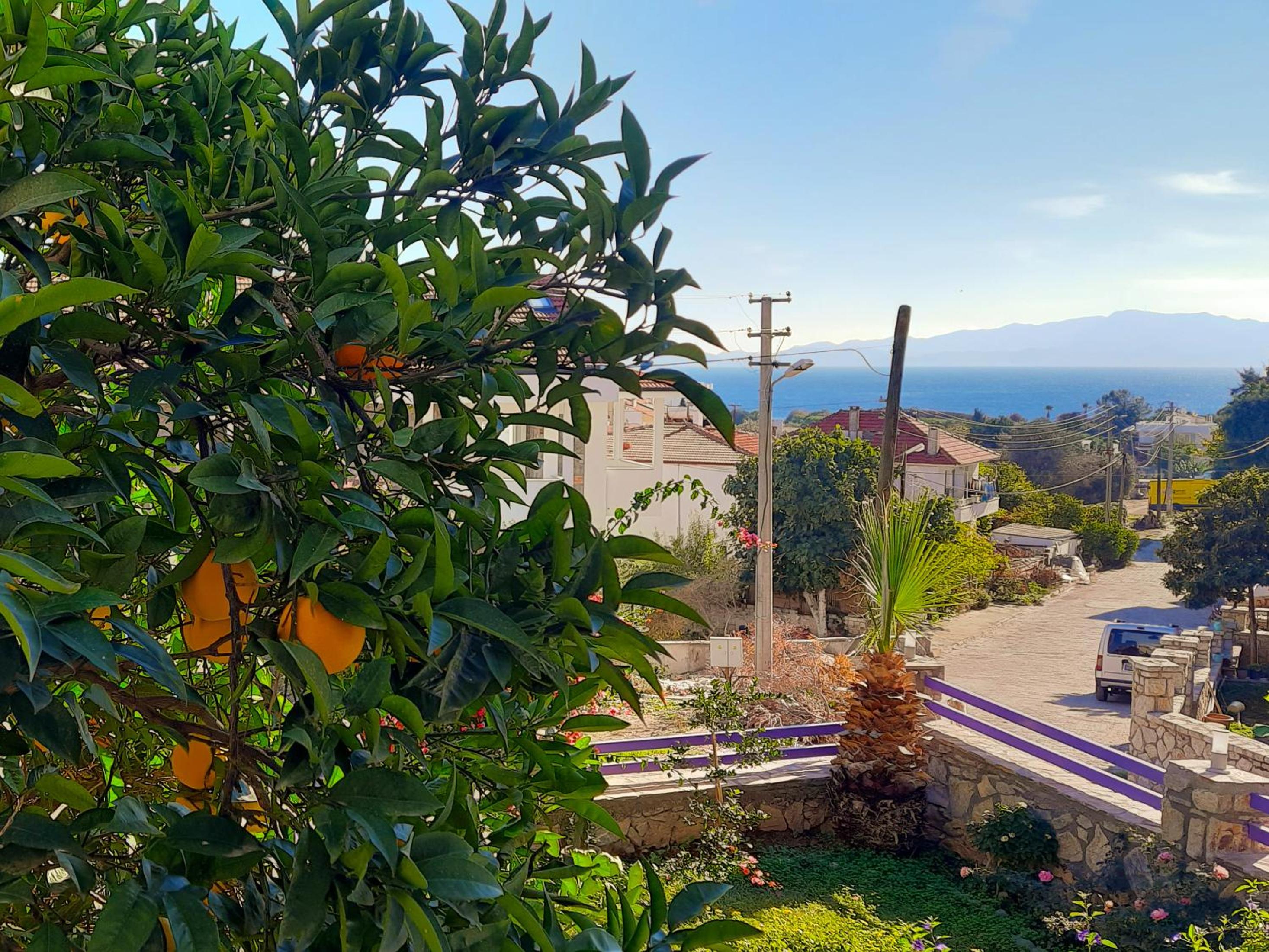 Apartment with Sea View photo 2