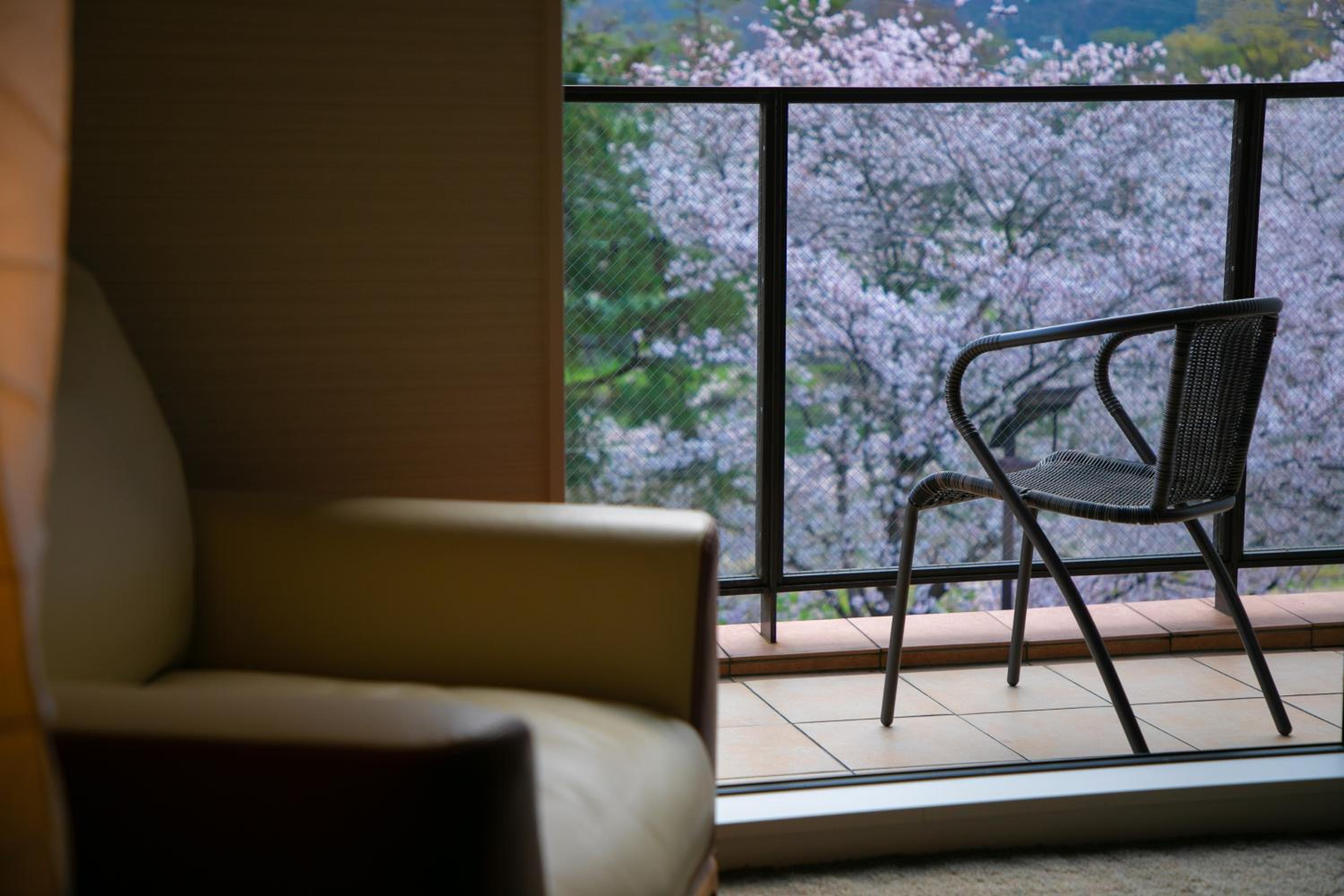 Twin Room B