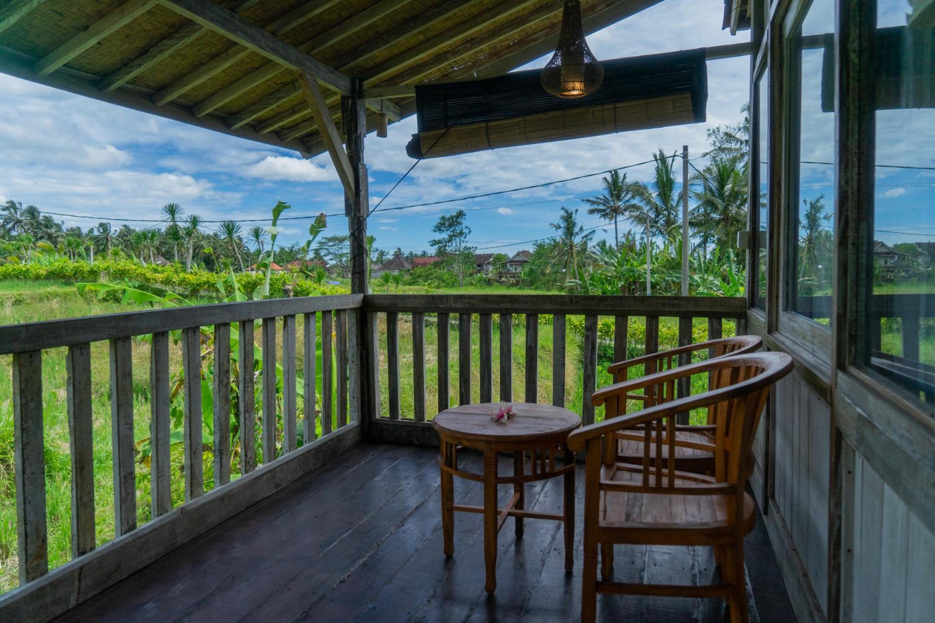 Deluxe Bungalow - Photo 14