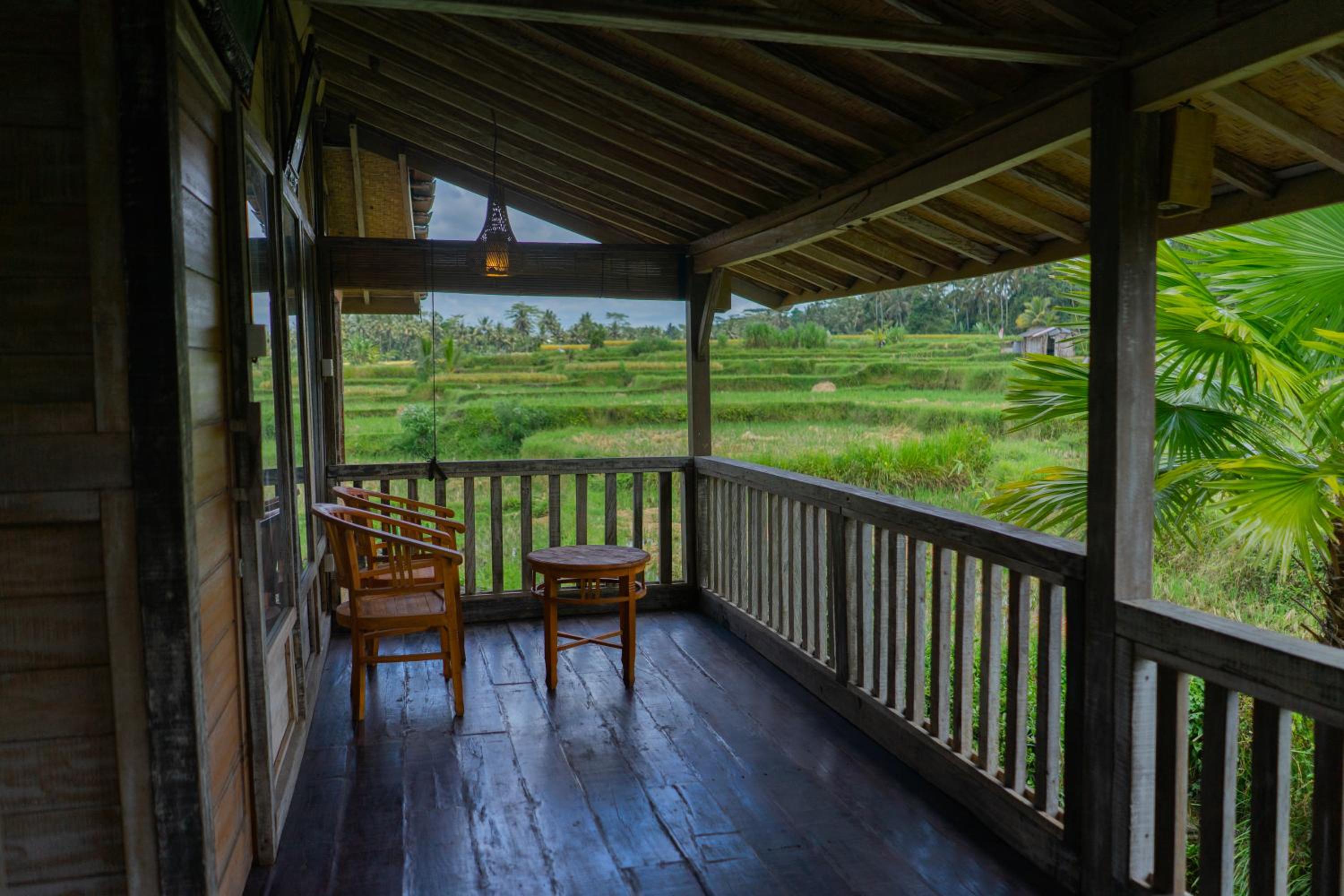 Deluxe Bungalow - Photo 11