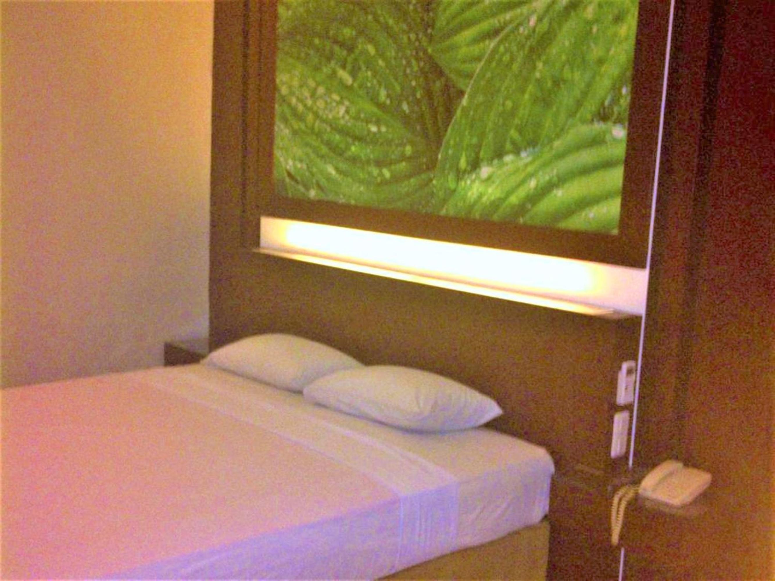 Suite - Photo 3