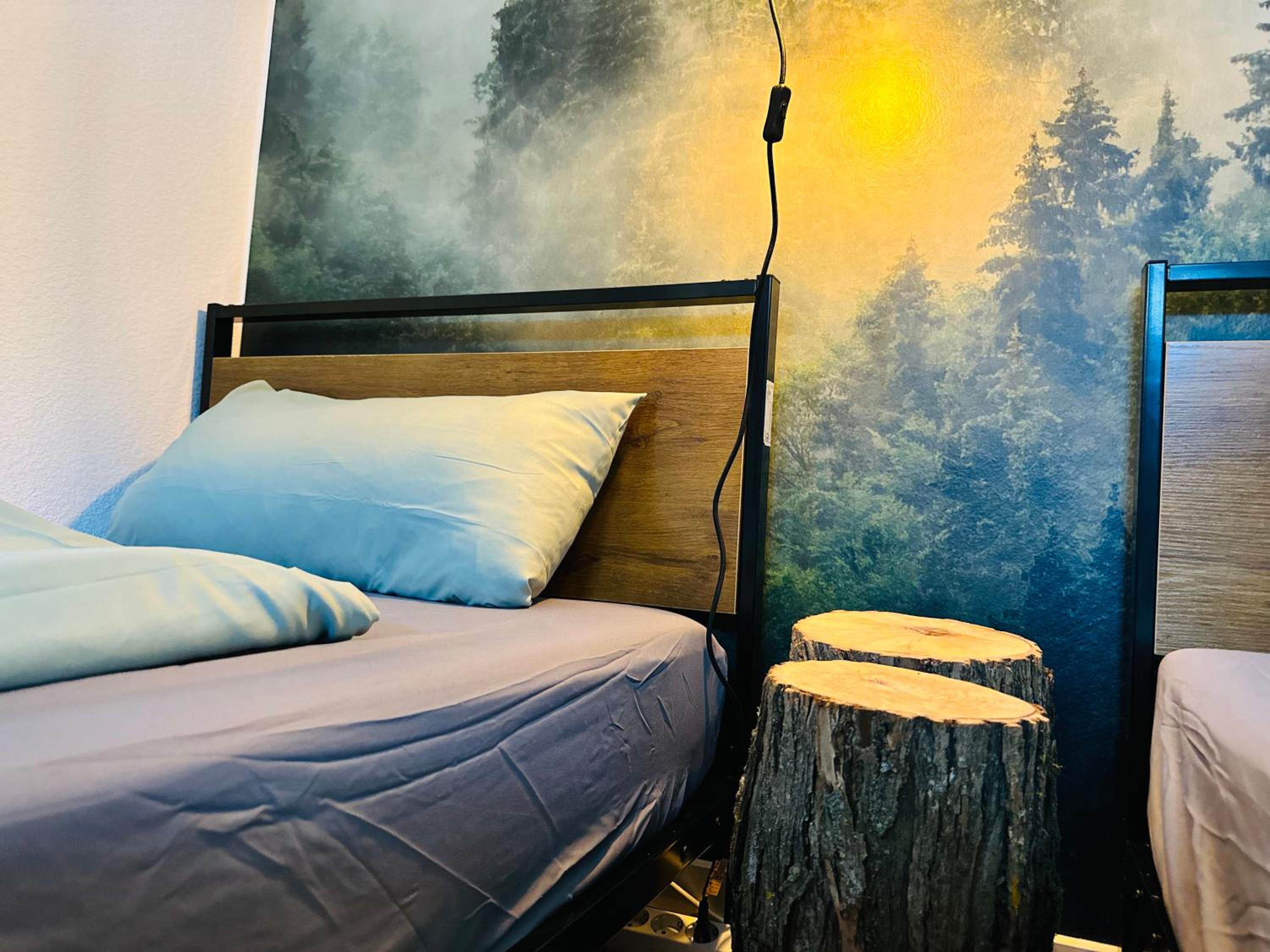 Deluxe Apartment photo 2