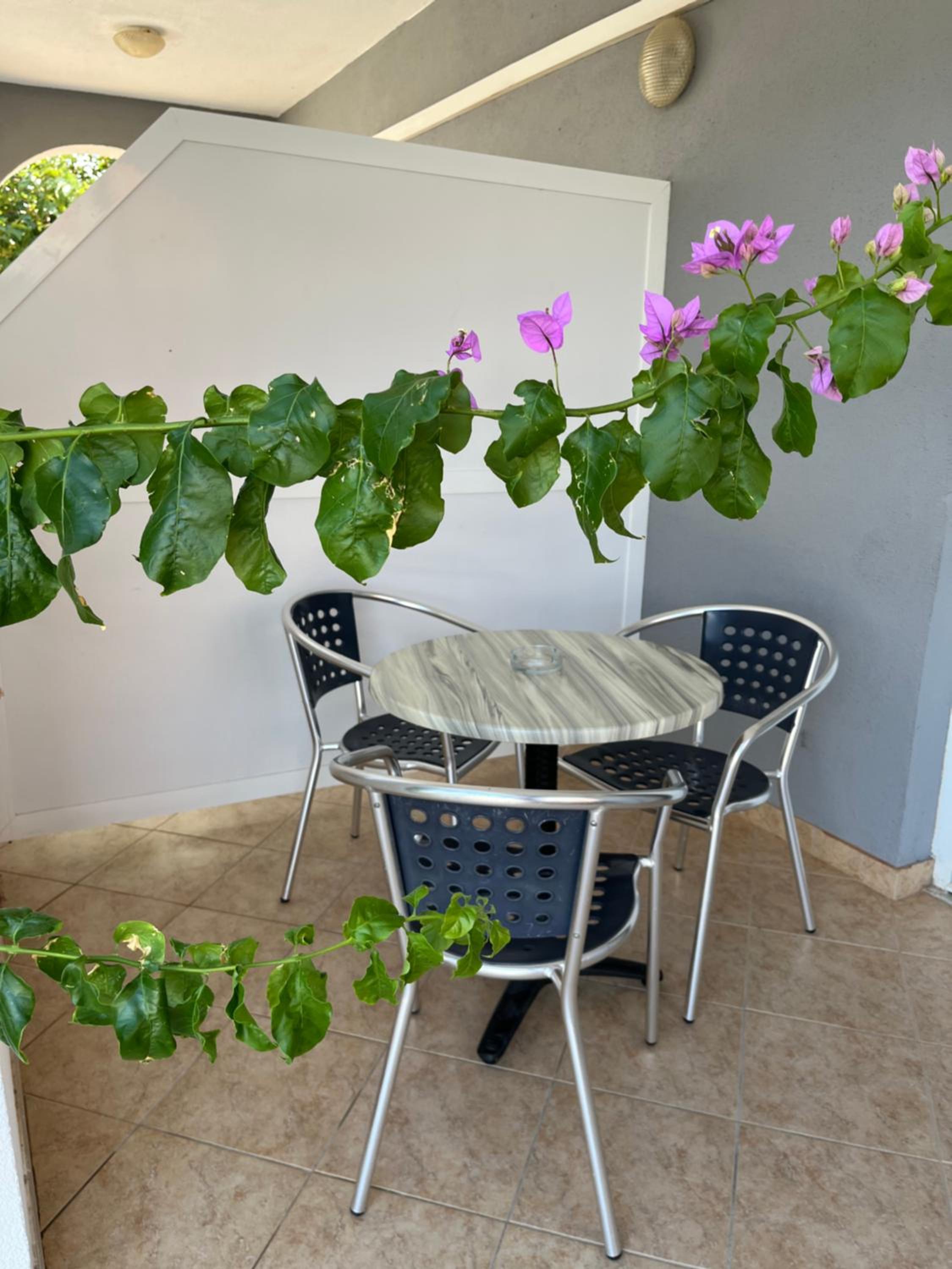 Apartment with Terrace photo 2