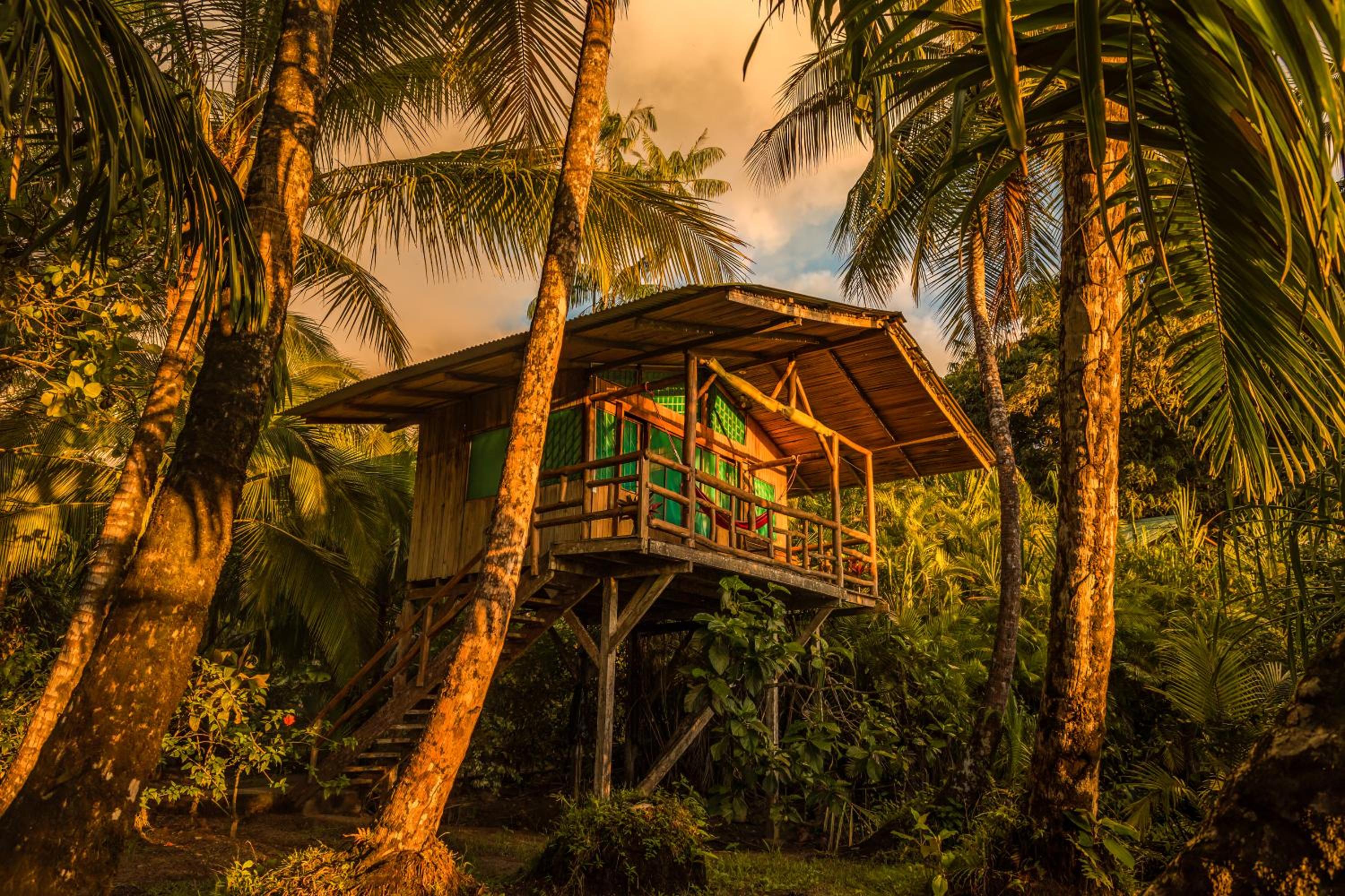 Bungalow - Beach Front photo 2