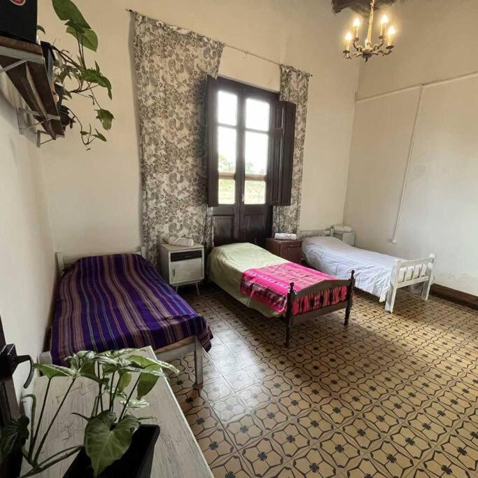 One-Bedroom House photo 1