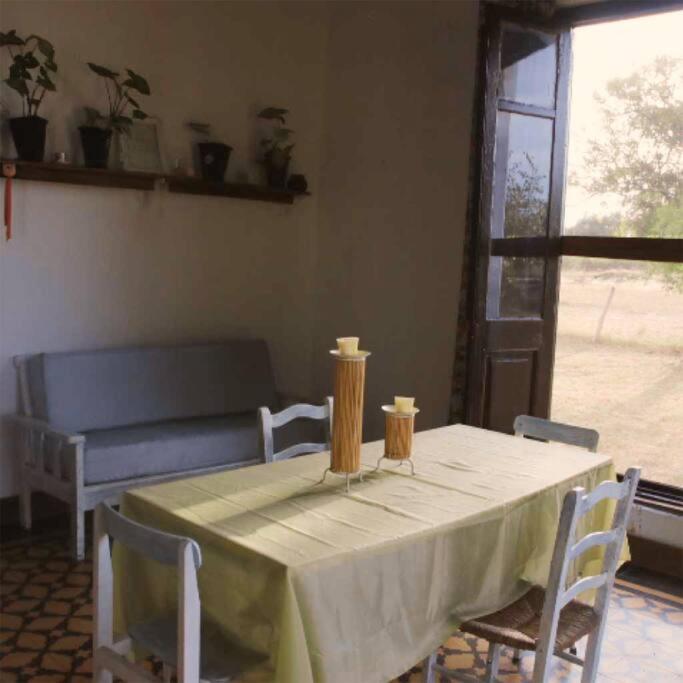 One-Bedroom House photo 3