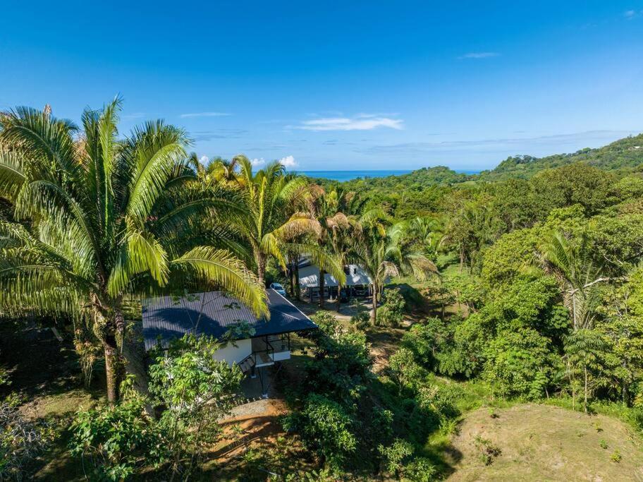 One-Bedroom Villa photo 2