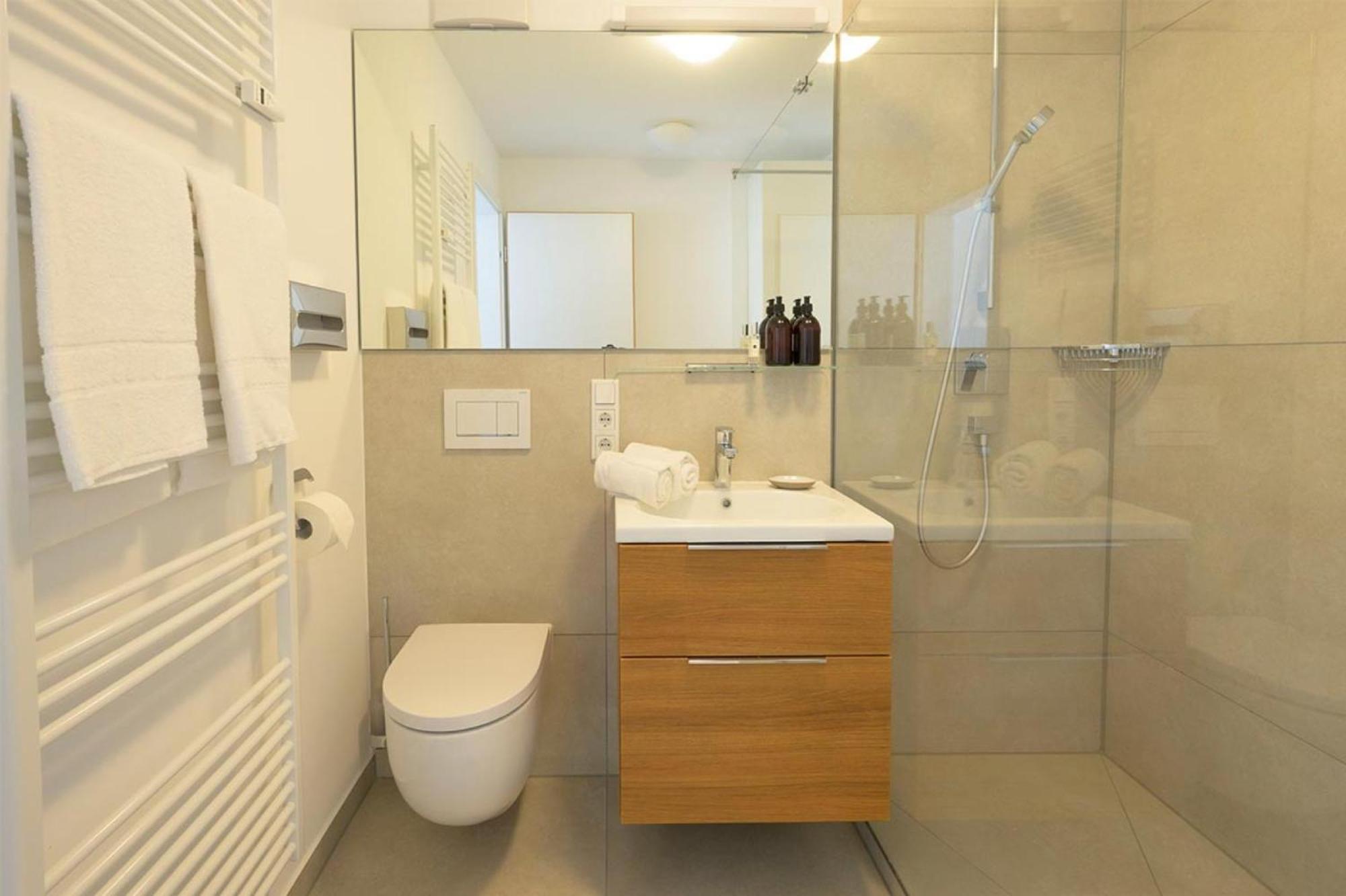 Superior One-Bedroom Apartment With Balcony photo 3