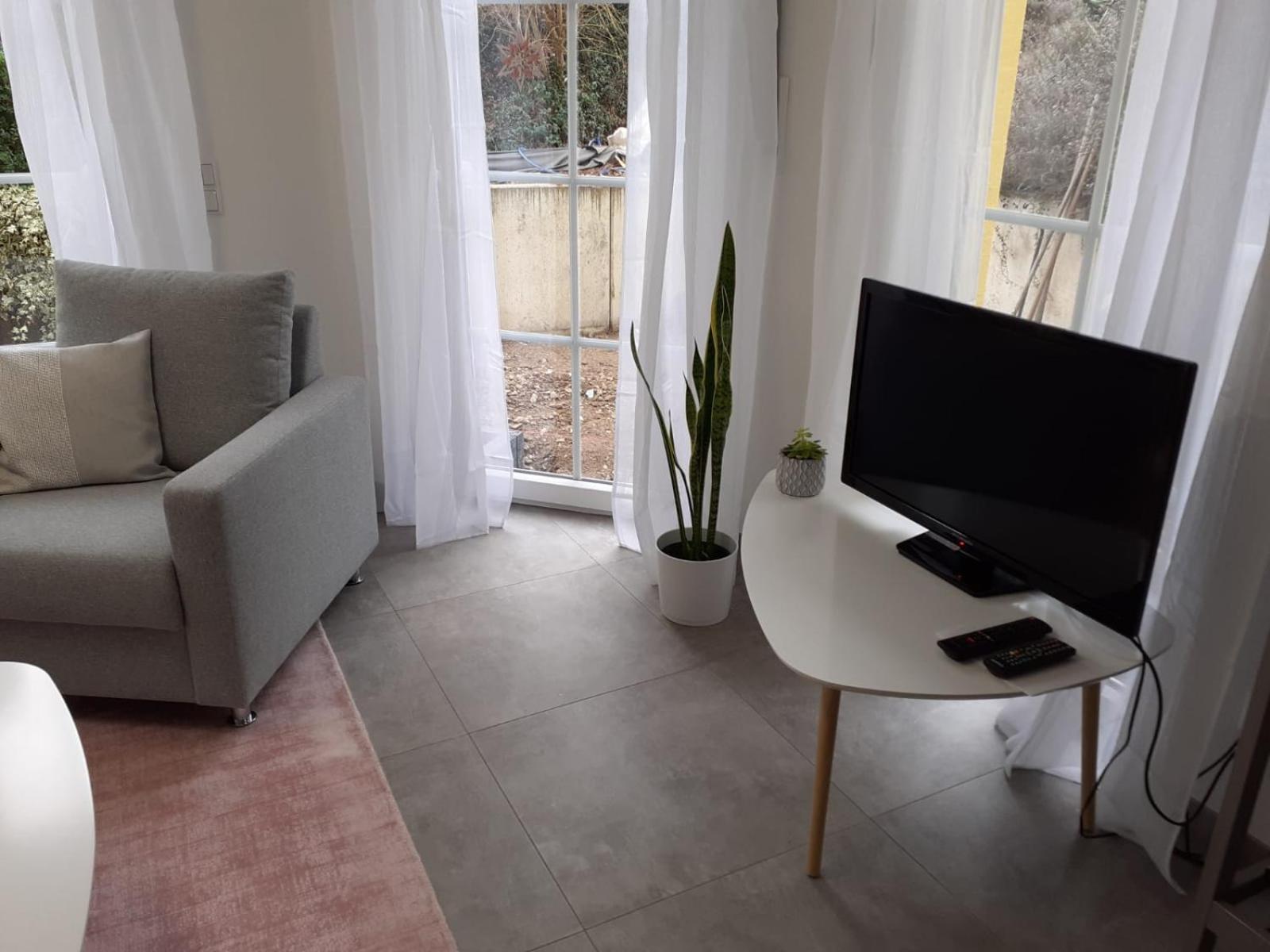 One-Bedroom Apartment with Terrace photo 3