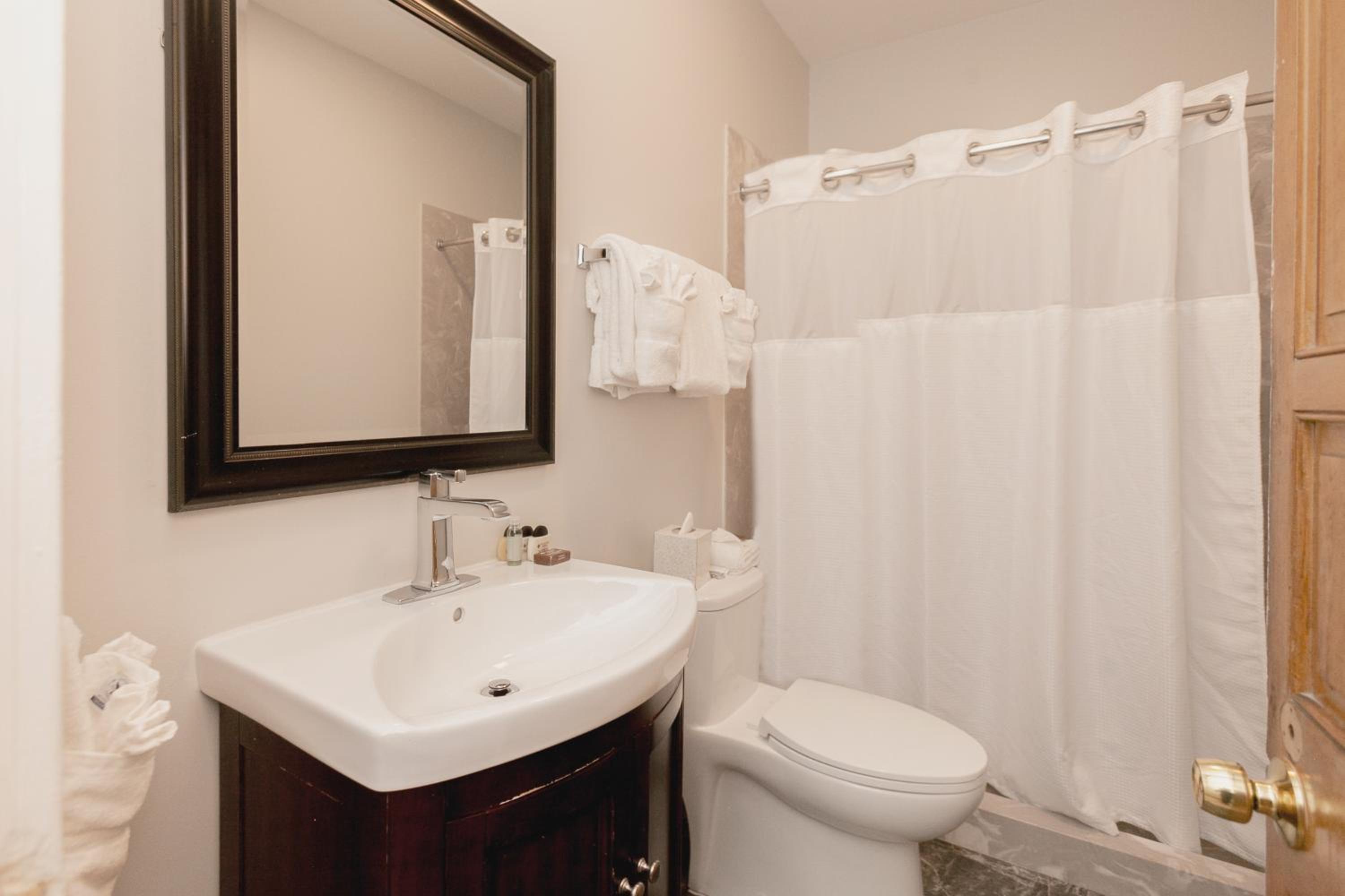 One-Bedroom Suite photo 3