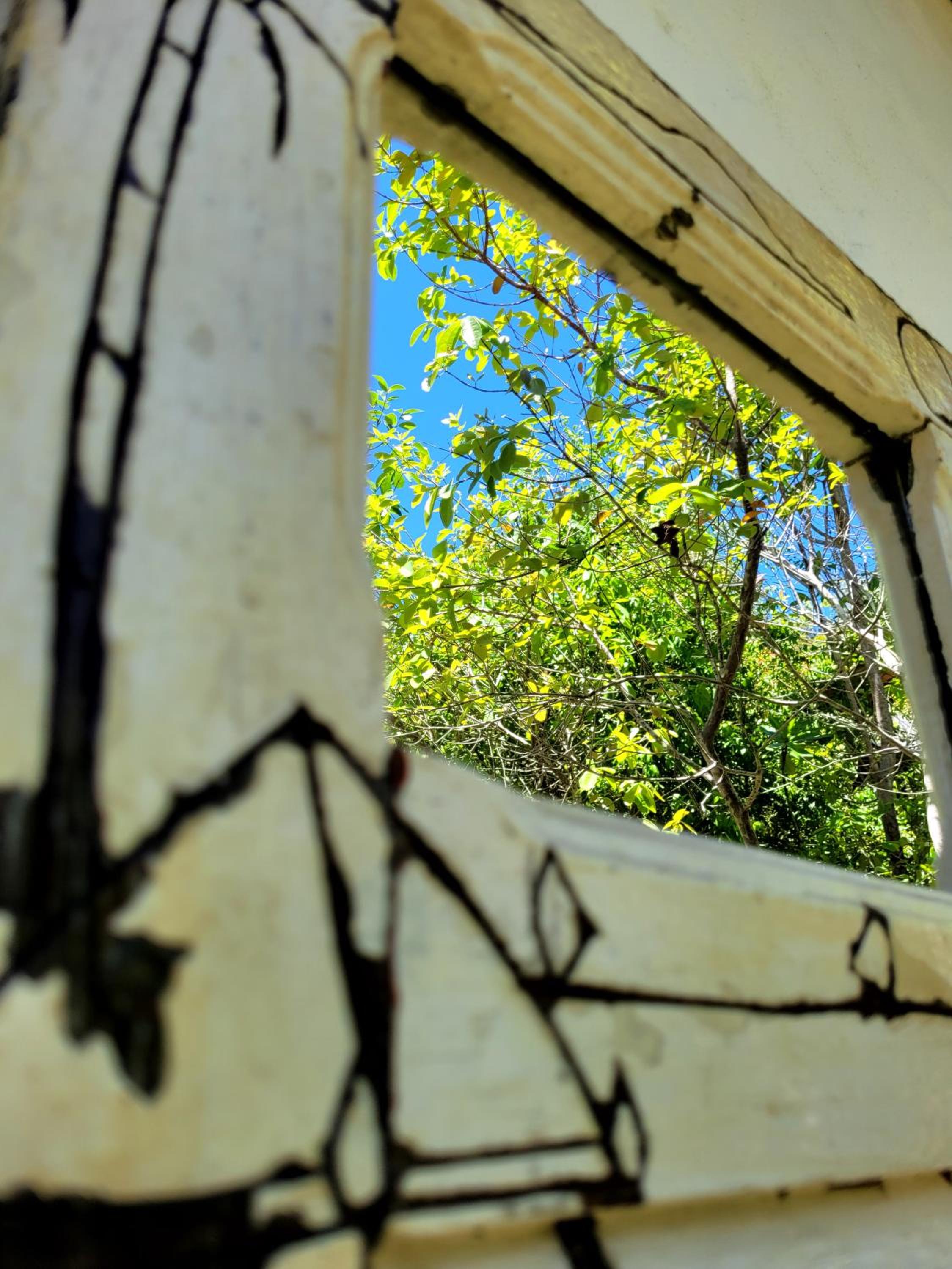 Double Room with Garden View - Photo 8