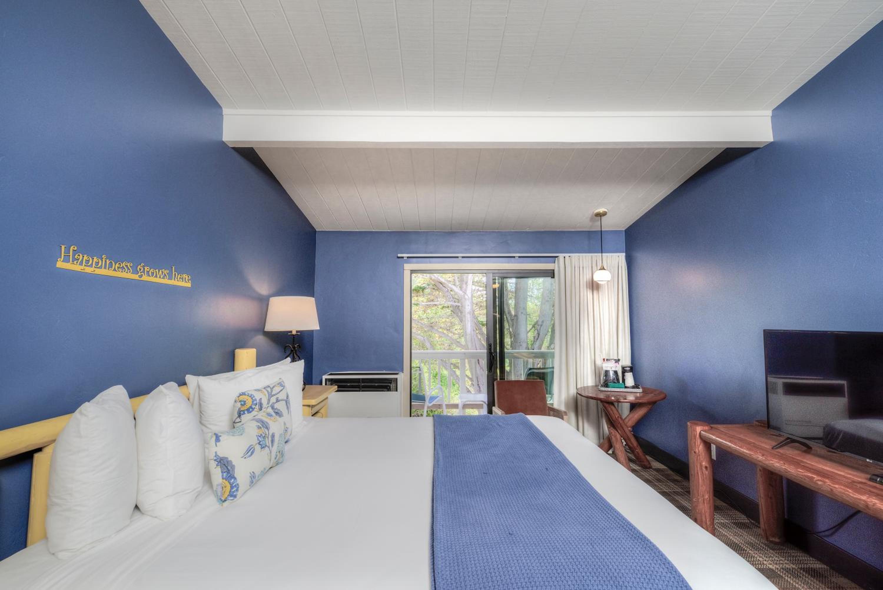 Standard King Room - Photo 7