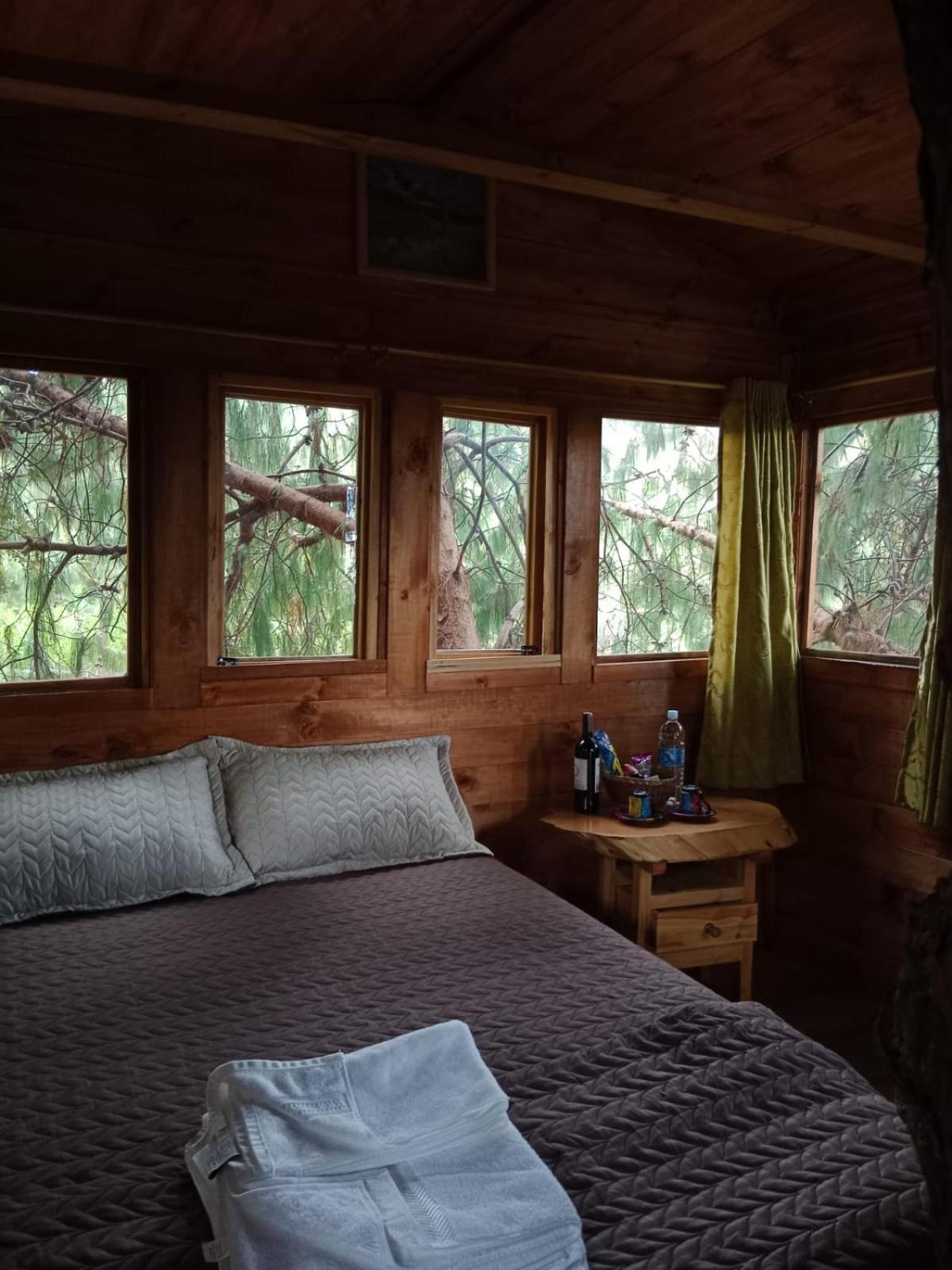 Suite with Terrace photo 3