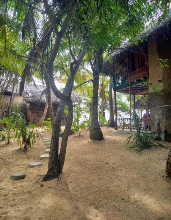 Double Room with Garden View photo 2
