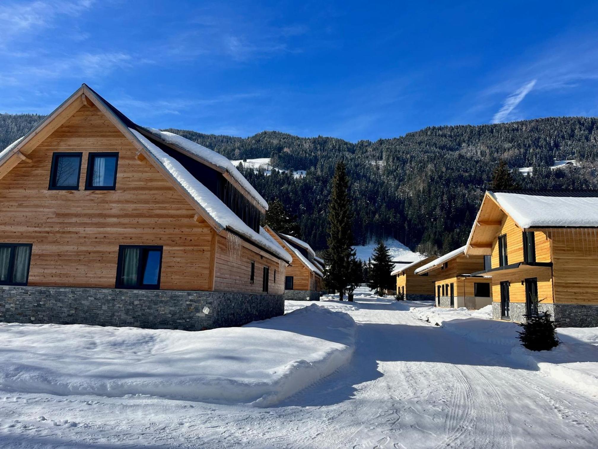 Superior Chalet photo 2