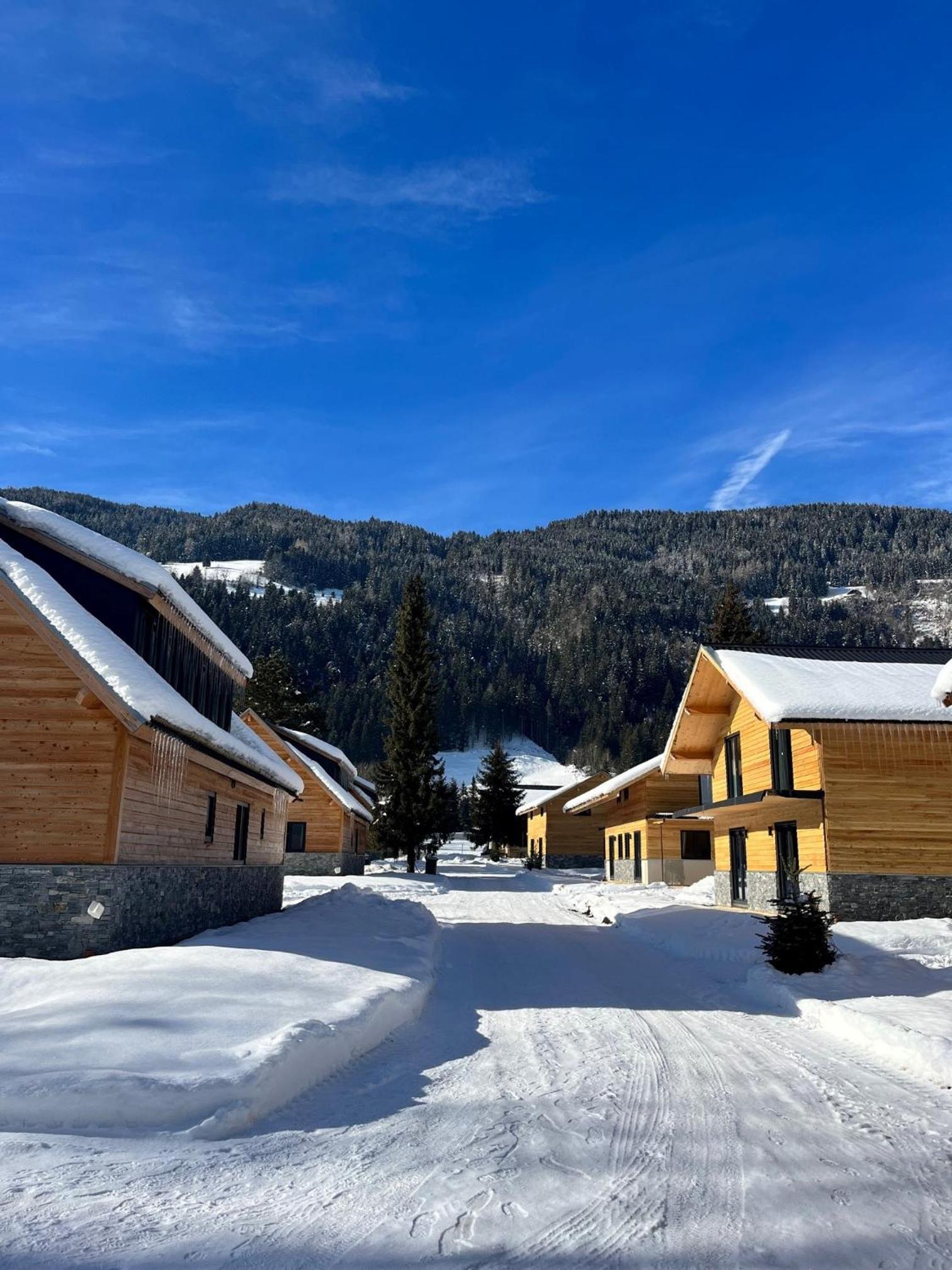 Superior Chalet photo 3
