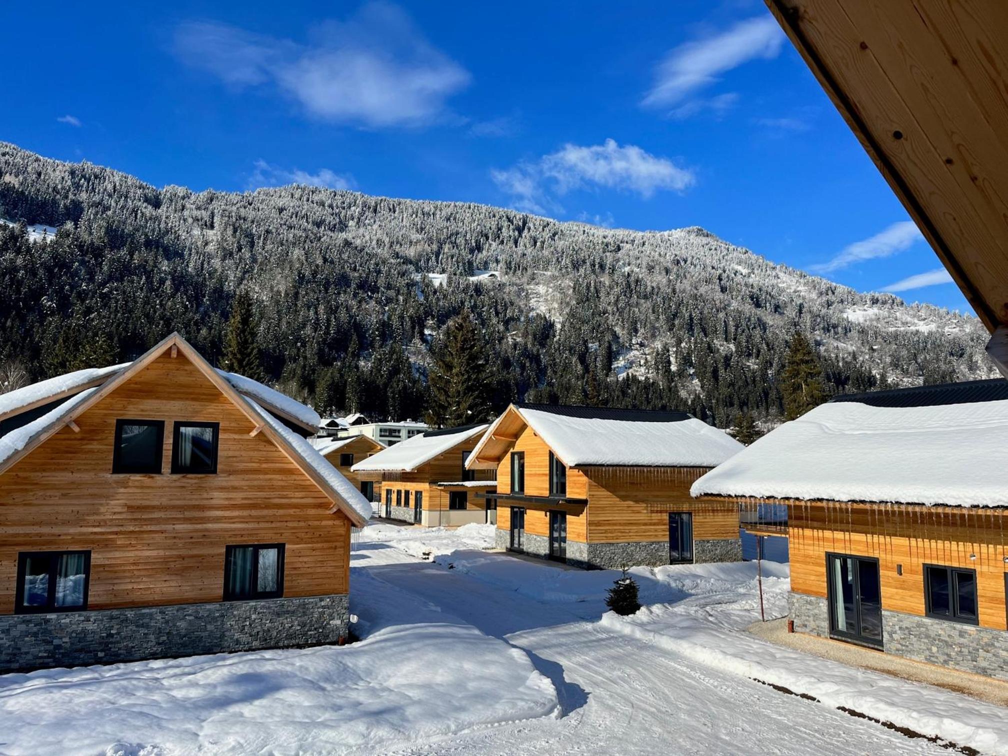 Three-Bedroom Chalet photo 3