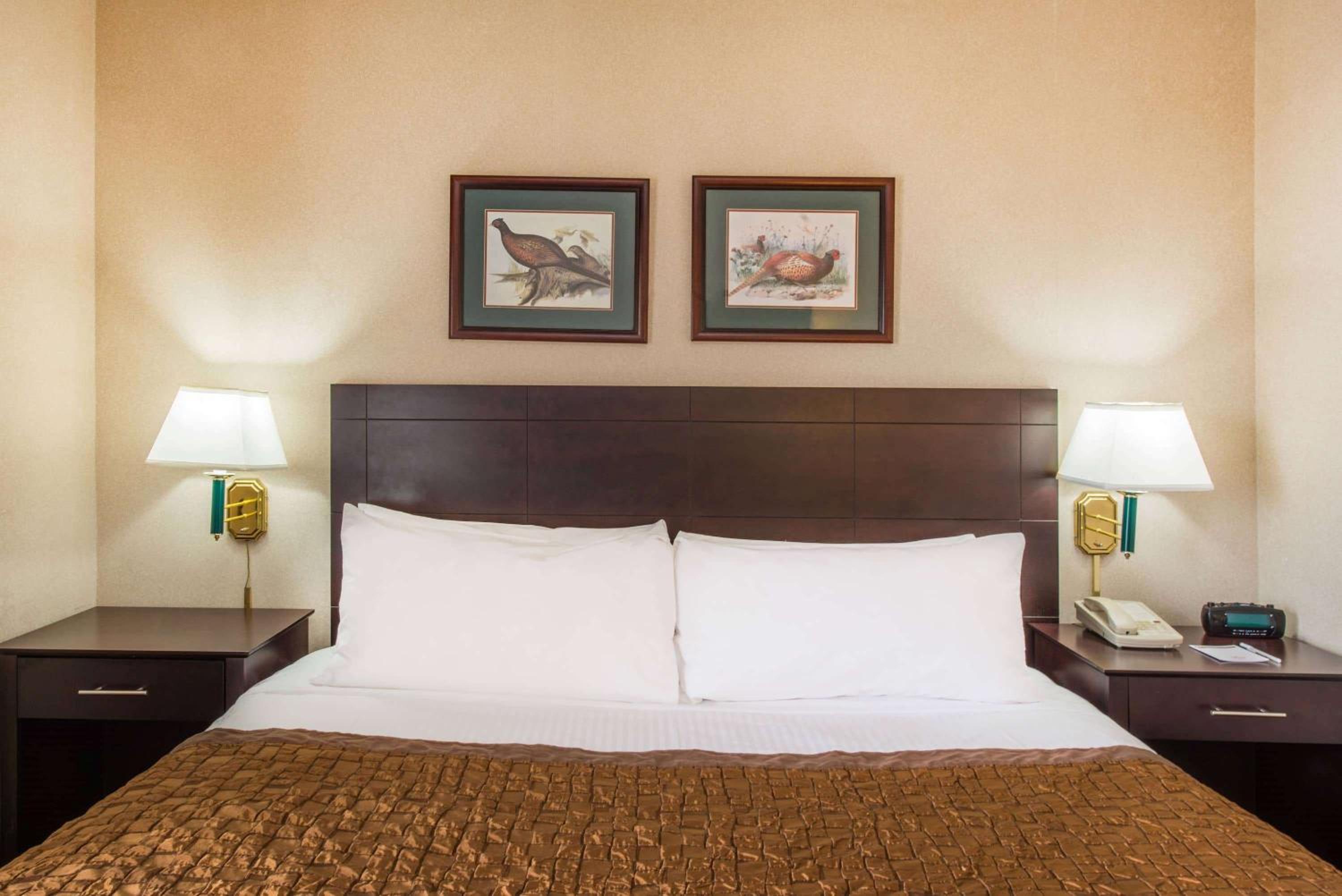 1 Queen Bed, Mobility Hearing Accessible Room, Roll-in Shower, Non-Smoking