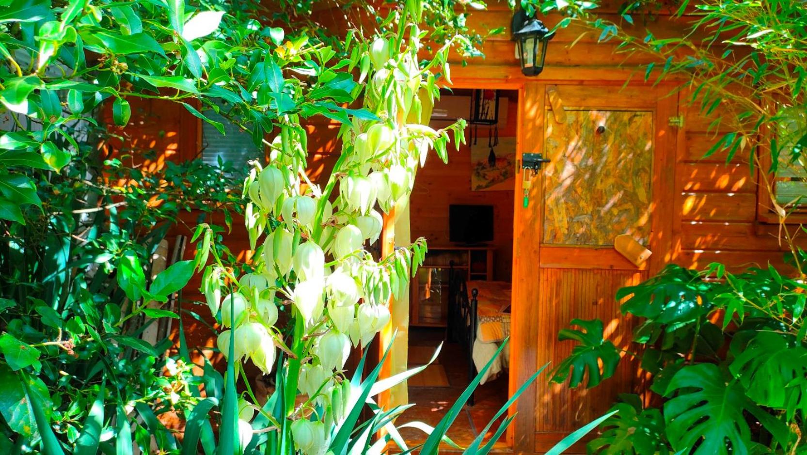 Double Room with Garden View - Photo 6