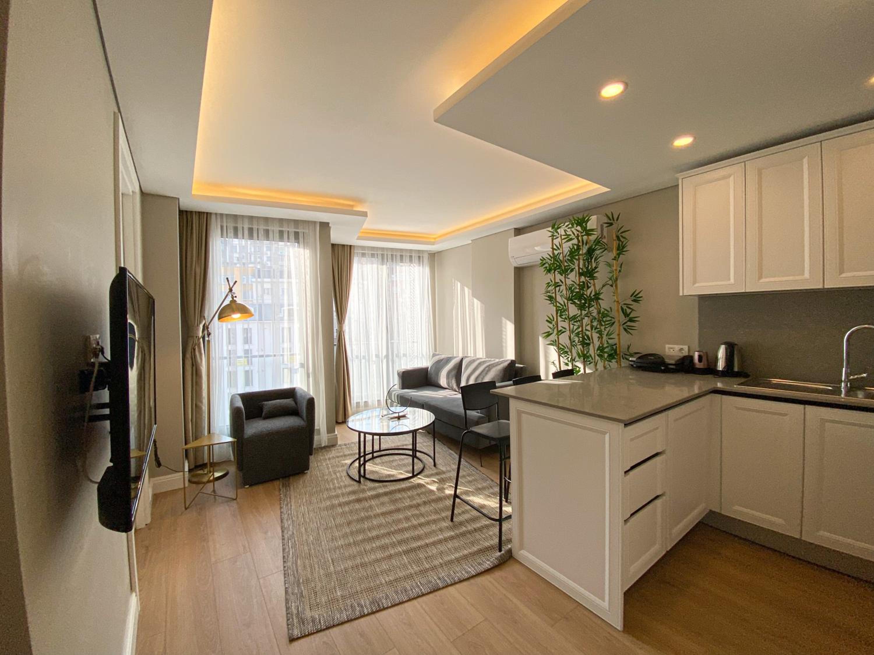 One-Bedroom Apartment photo 3