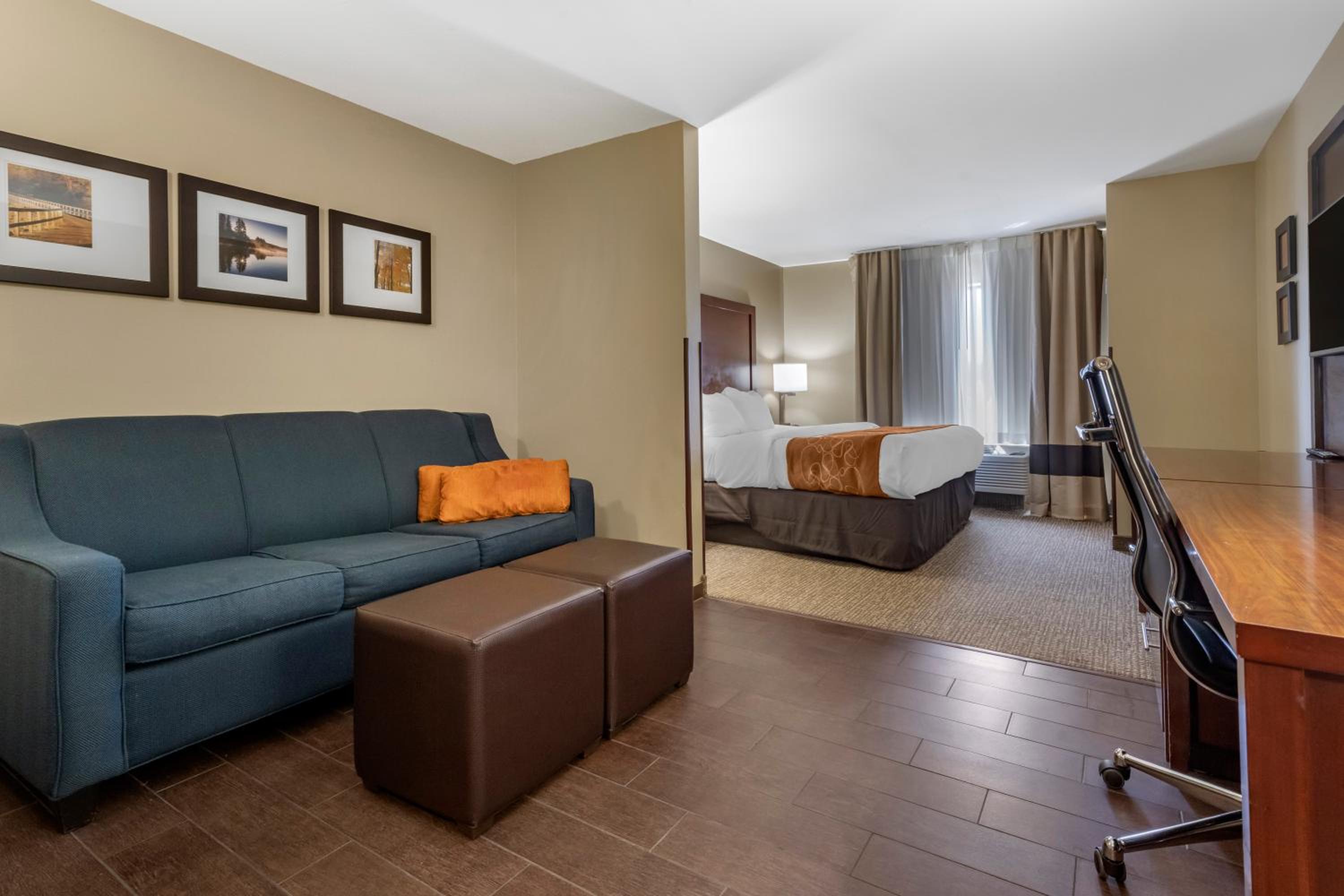 King Suite photo 2