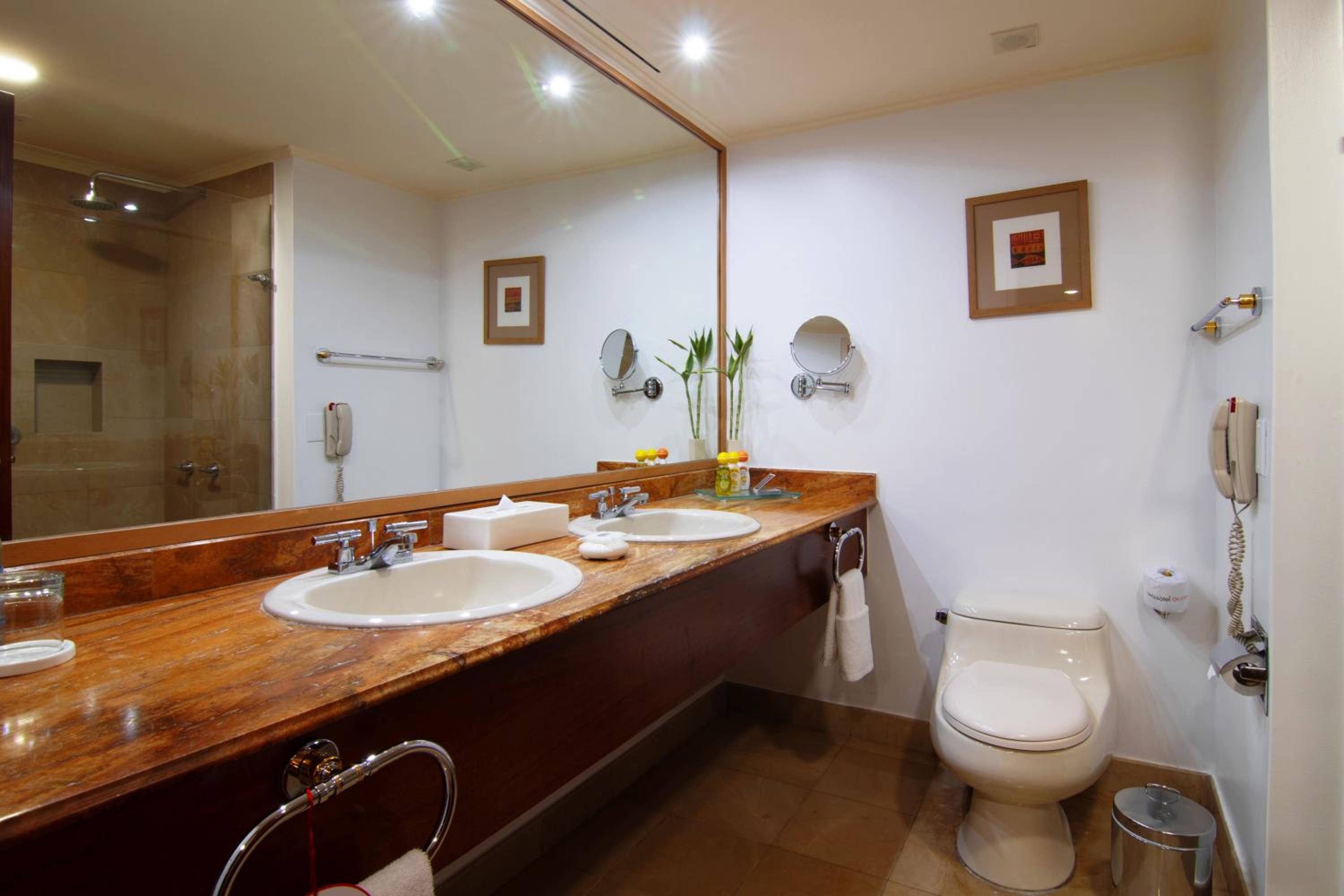 Business Suite photo 2