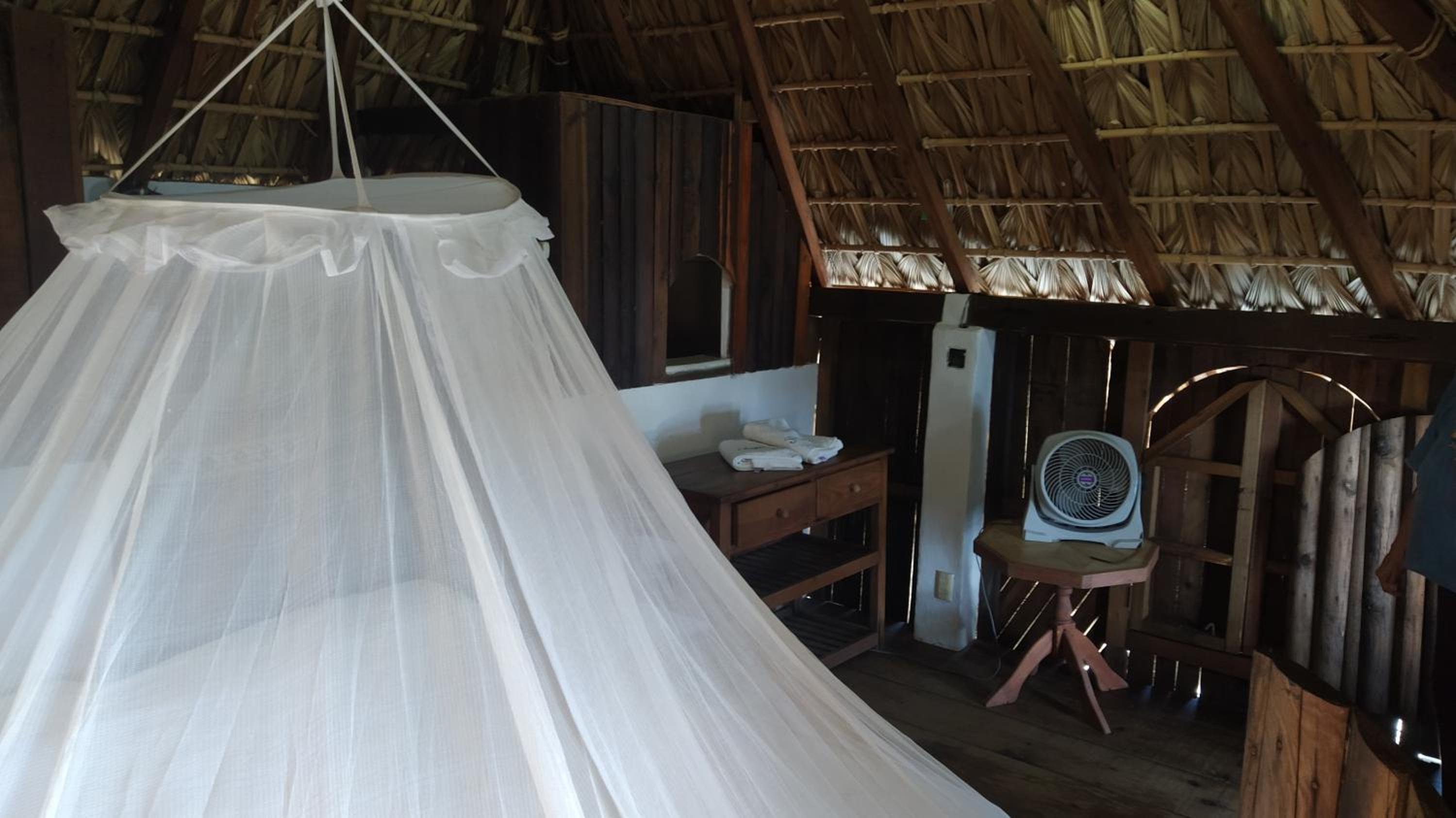 Double Room with Balcony and Sea View - Photo 5