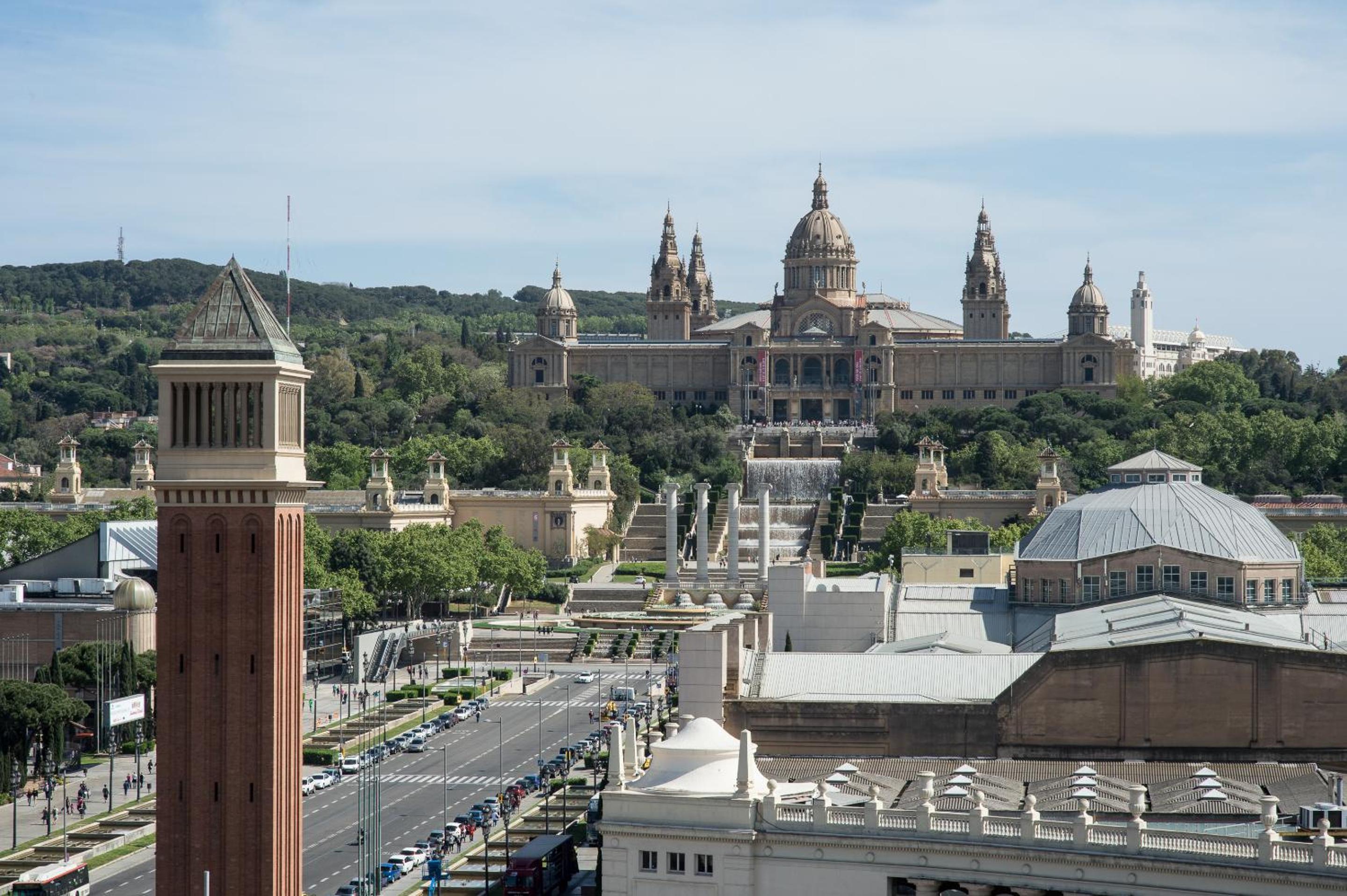 Suite con Terraza Suite con Terraza
