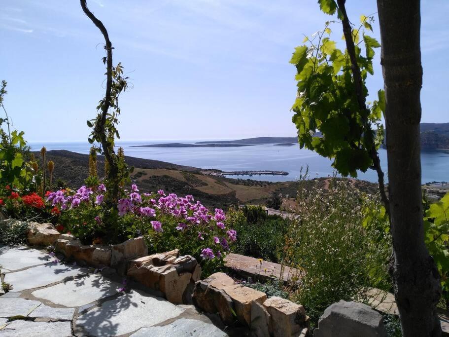 Villa photo 2