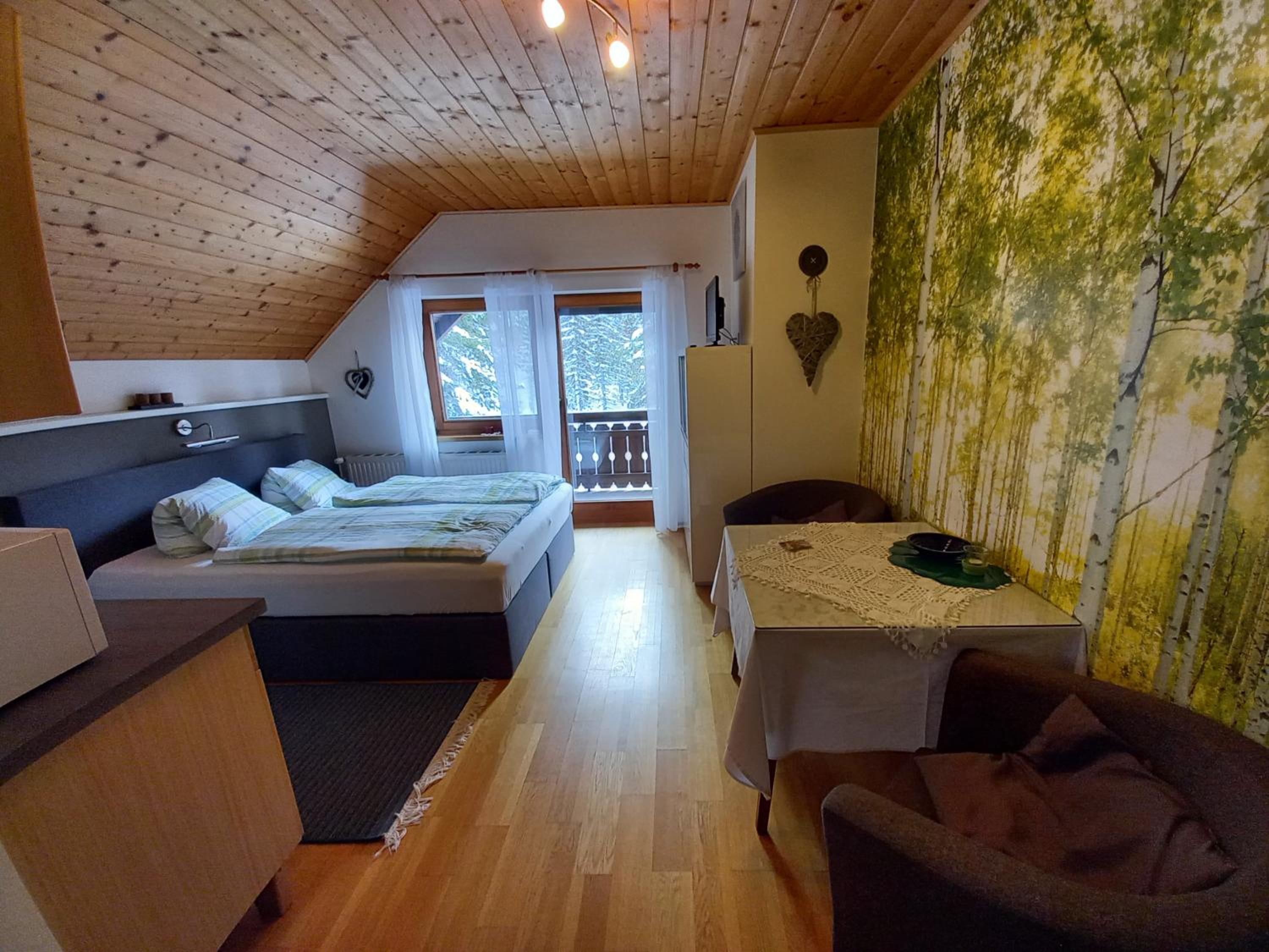 Studio with Balcony photo 2